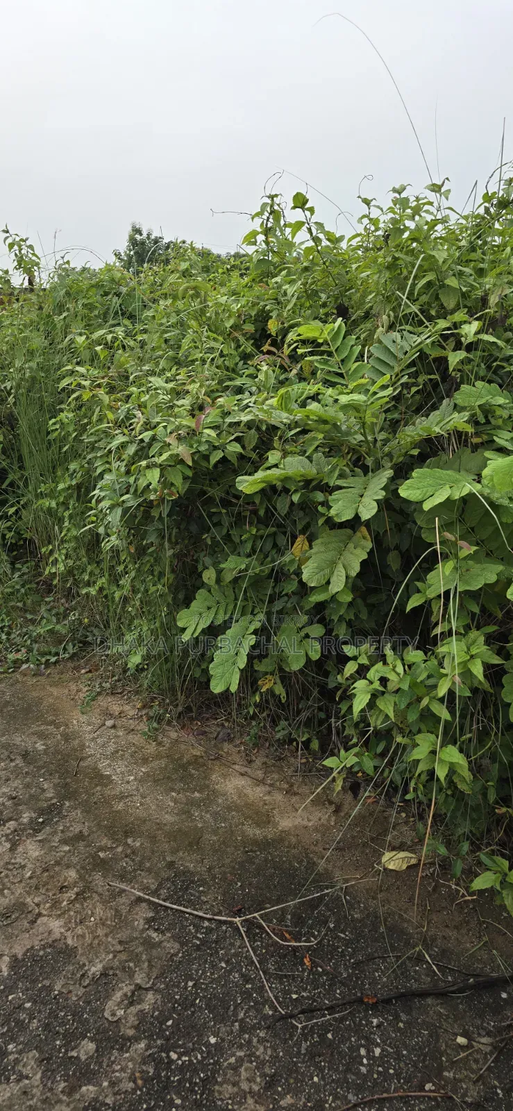 Sector -20, Road -301, Purbachal North in Purbachal