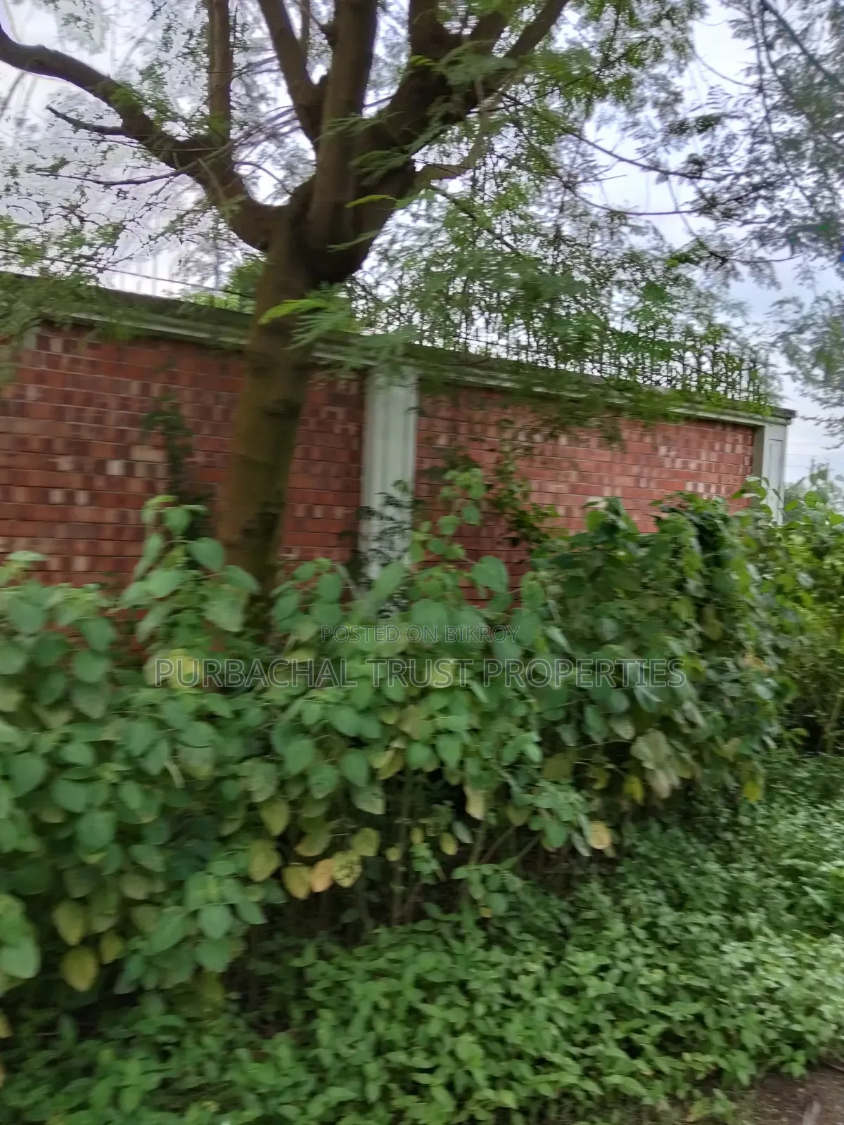 7.5 katha plot for sale in Purbachal Sector 11 in Purbachal