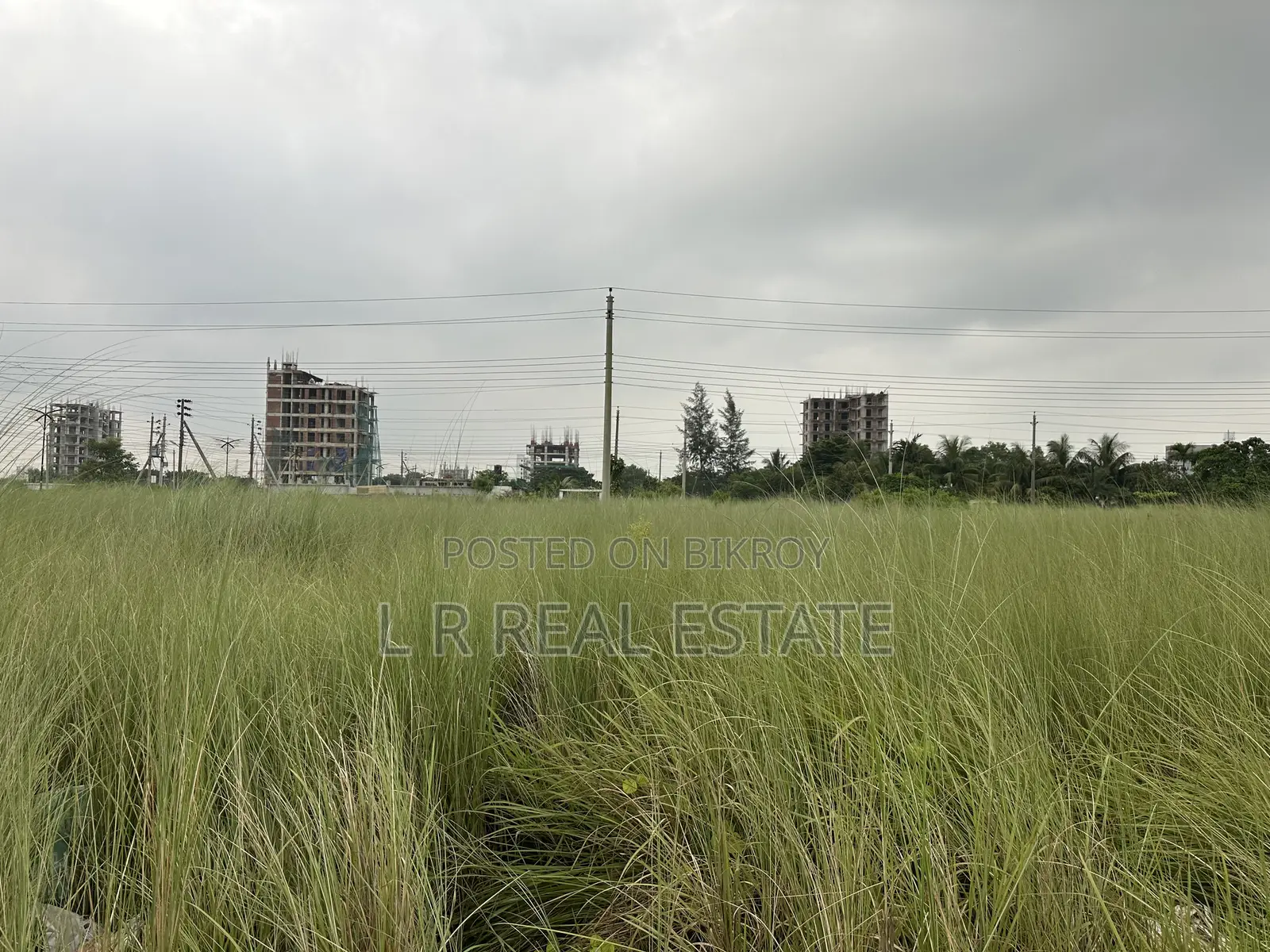 P Block, 3 Katha, South Facing, Plot for Sale, Bashundhara R/A in Basundhara