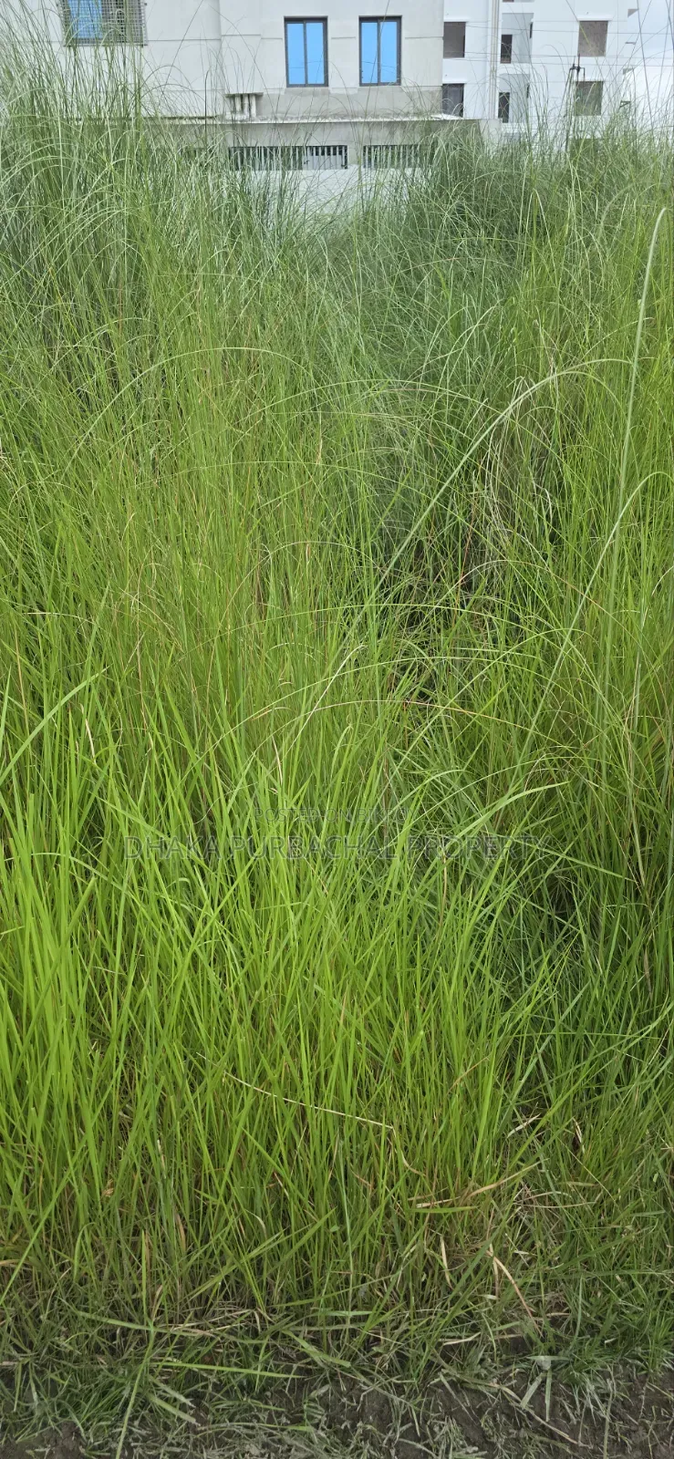 Uttara Third Phase Sector 17/G1, North-facing three katha plot for sale in Uttara