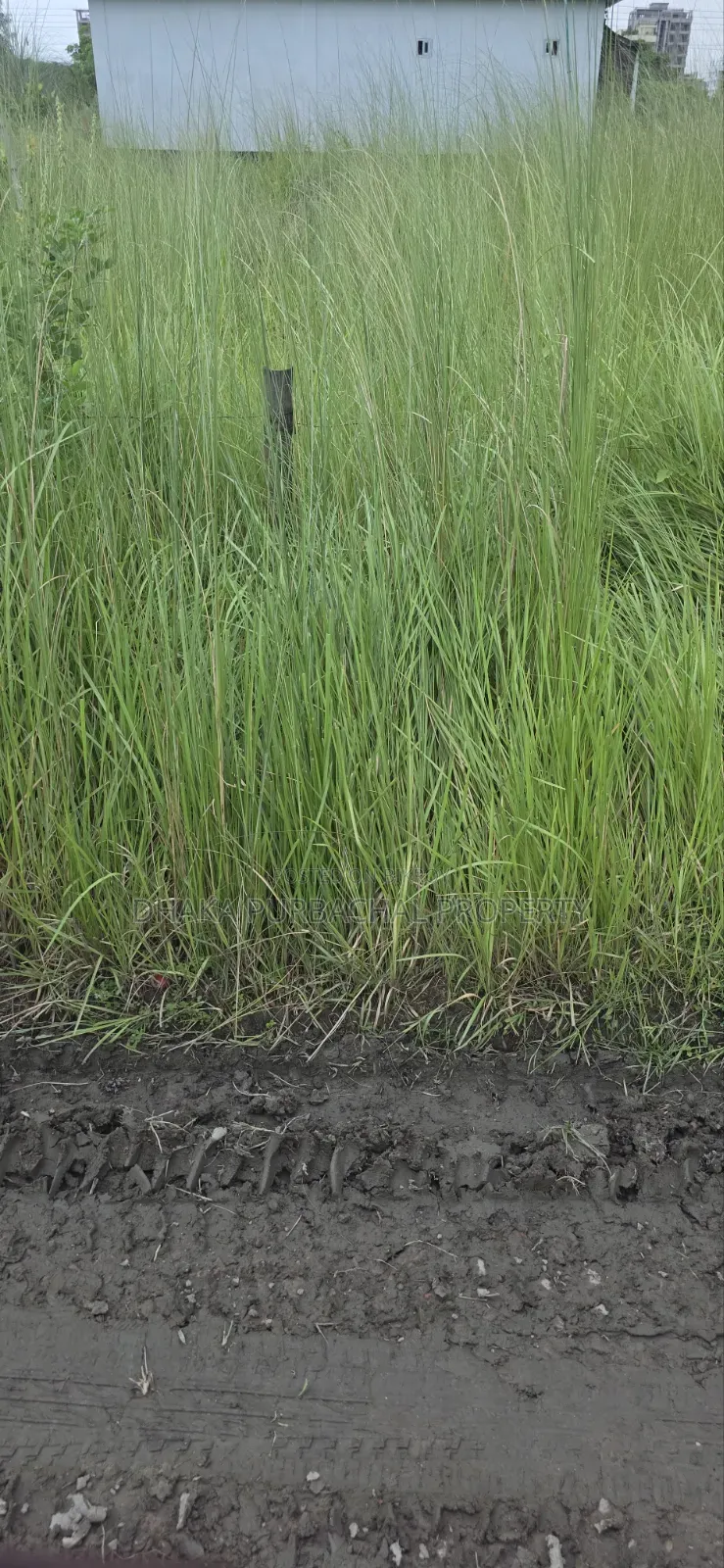 Rajuk Uttara Sector -17/B, Road -1/B, 3 Katha Allotted Plot Sale in Uttara