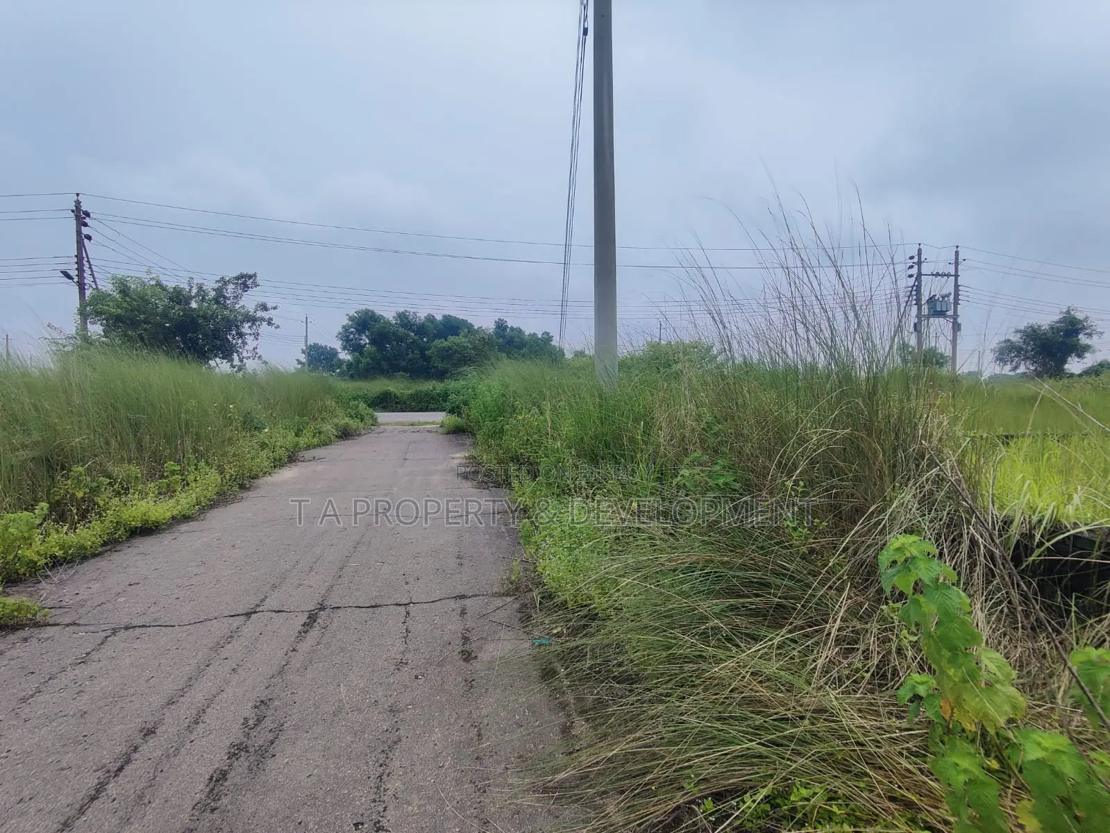 3 Katha North Facing Plot Sell in Basundhara