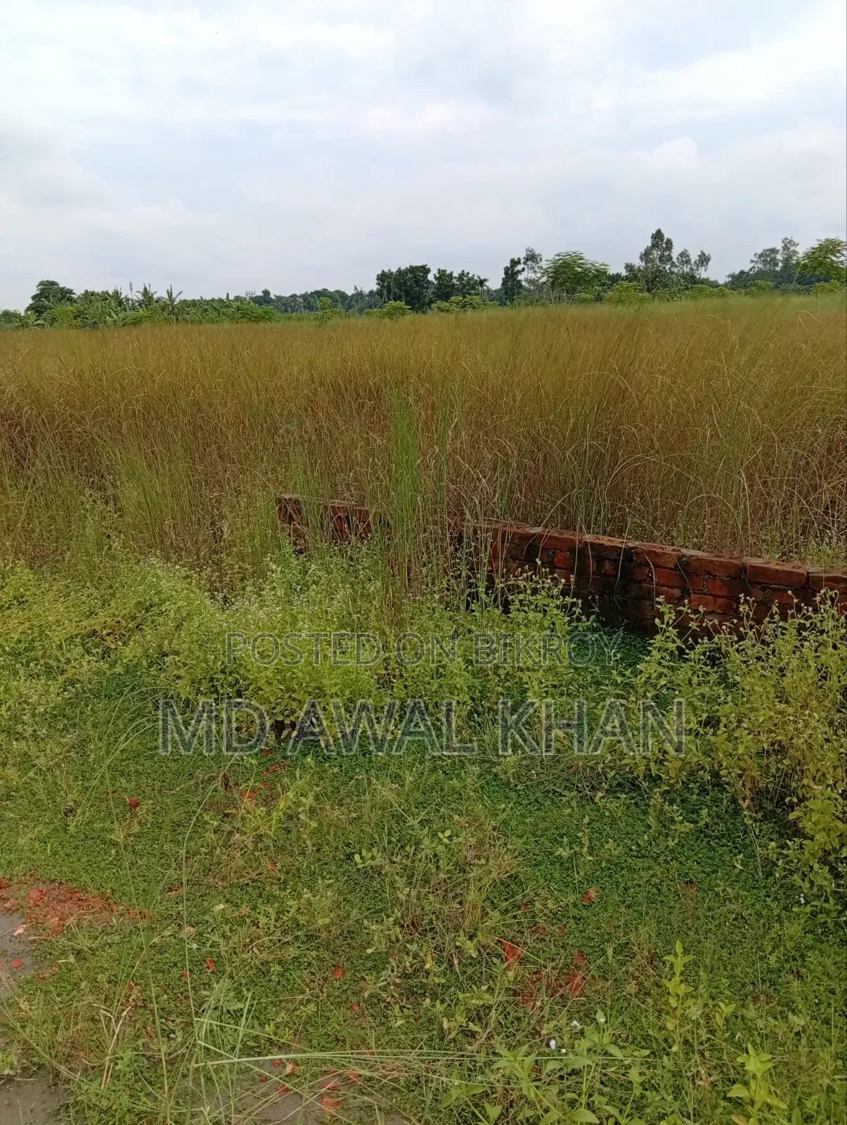 12 Katha Land Sell at Basundhara Block N Ext in Basundhara