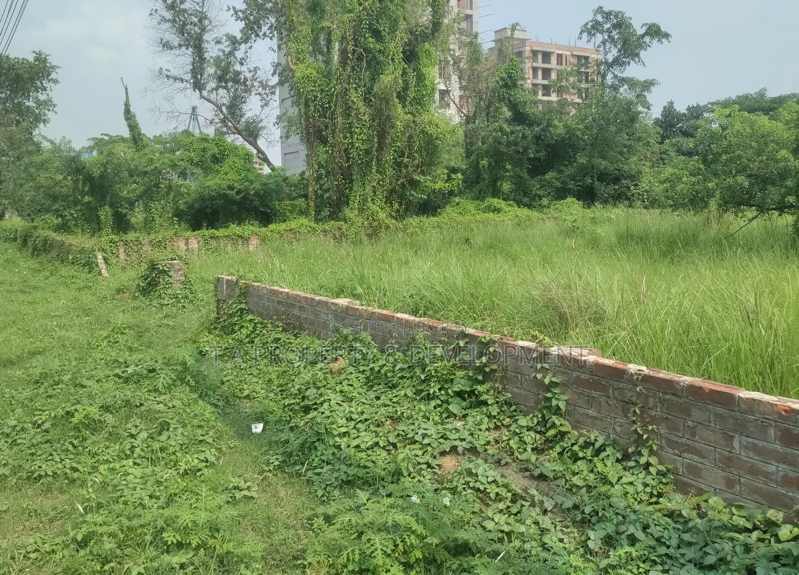 N Block 24 Katha Plot For Sale, 2 Side Road South North Facing in Basundhara