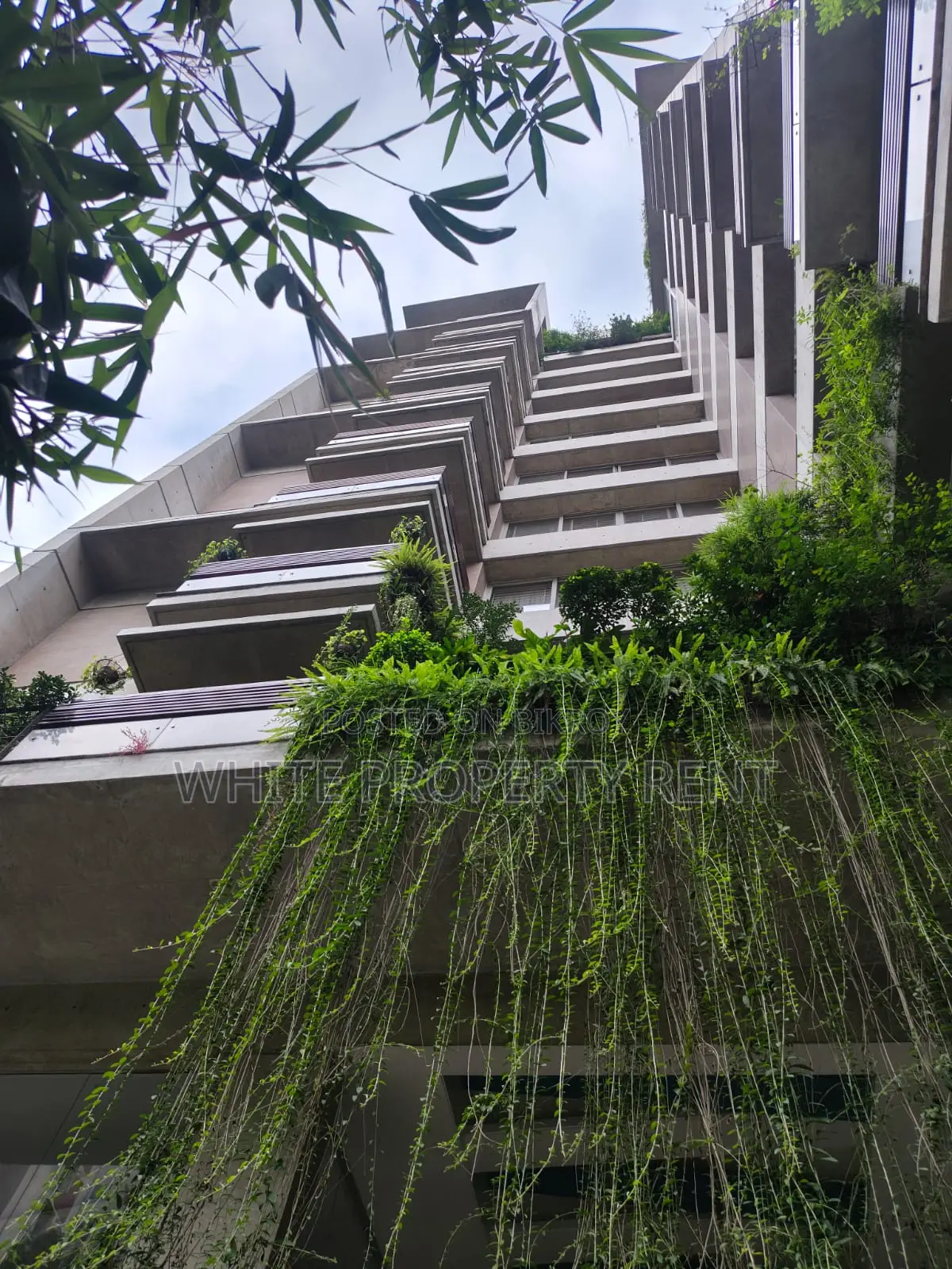 Furnished 4-bedroom Apartment in White Property, Gulshan for Rent in Gulshan