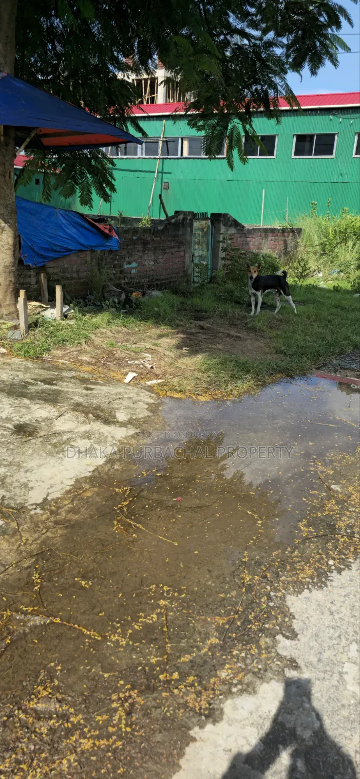 Rajuk Uttara Sector 15/F, Road 4/A, 3 Katha East Facing Plot in Uttara