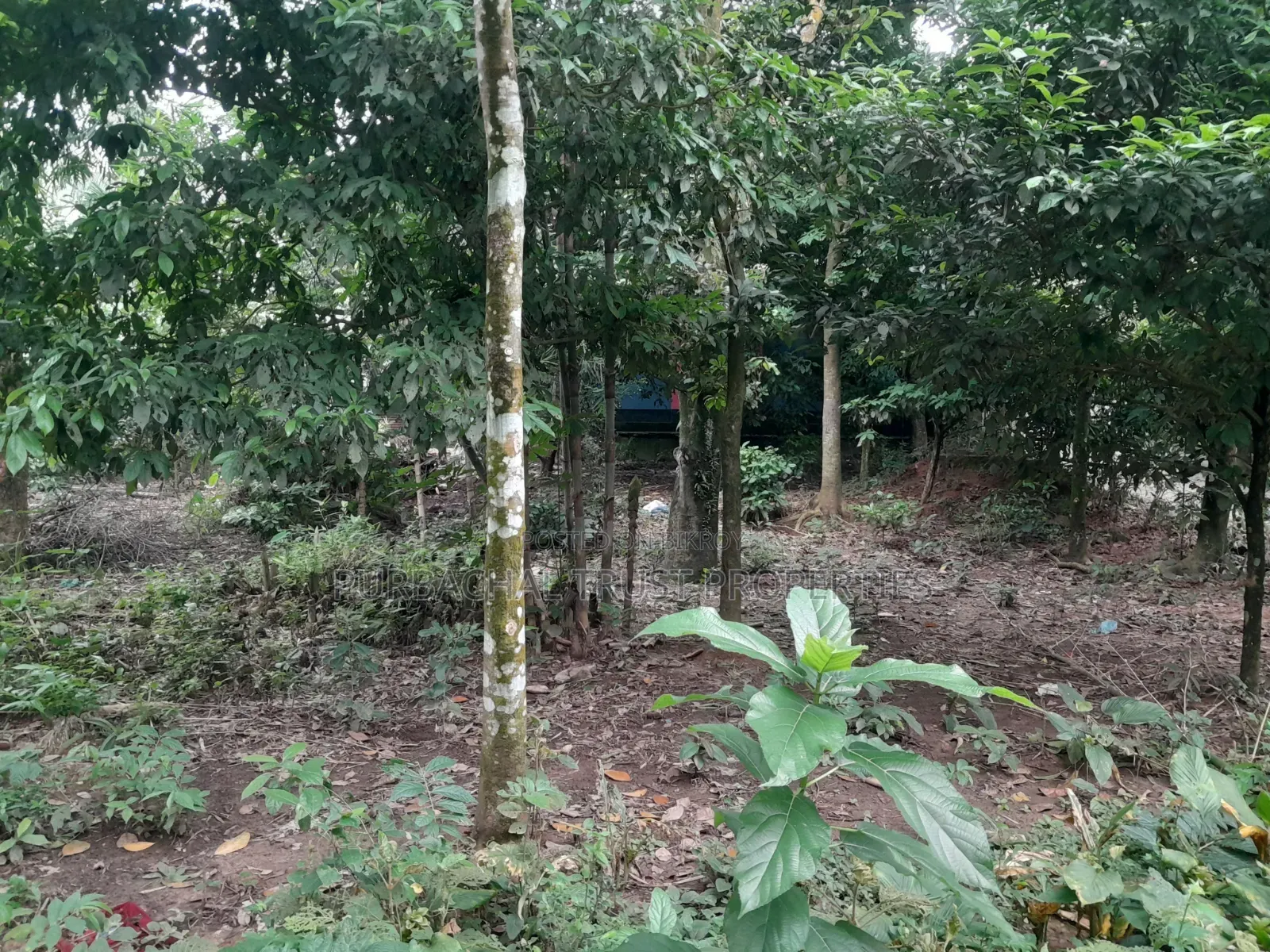 10 Kathas Land for Sale Beside Purbachal in Purbachal