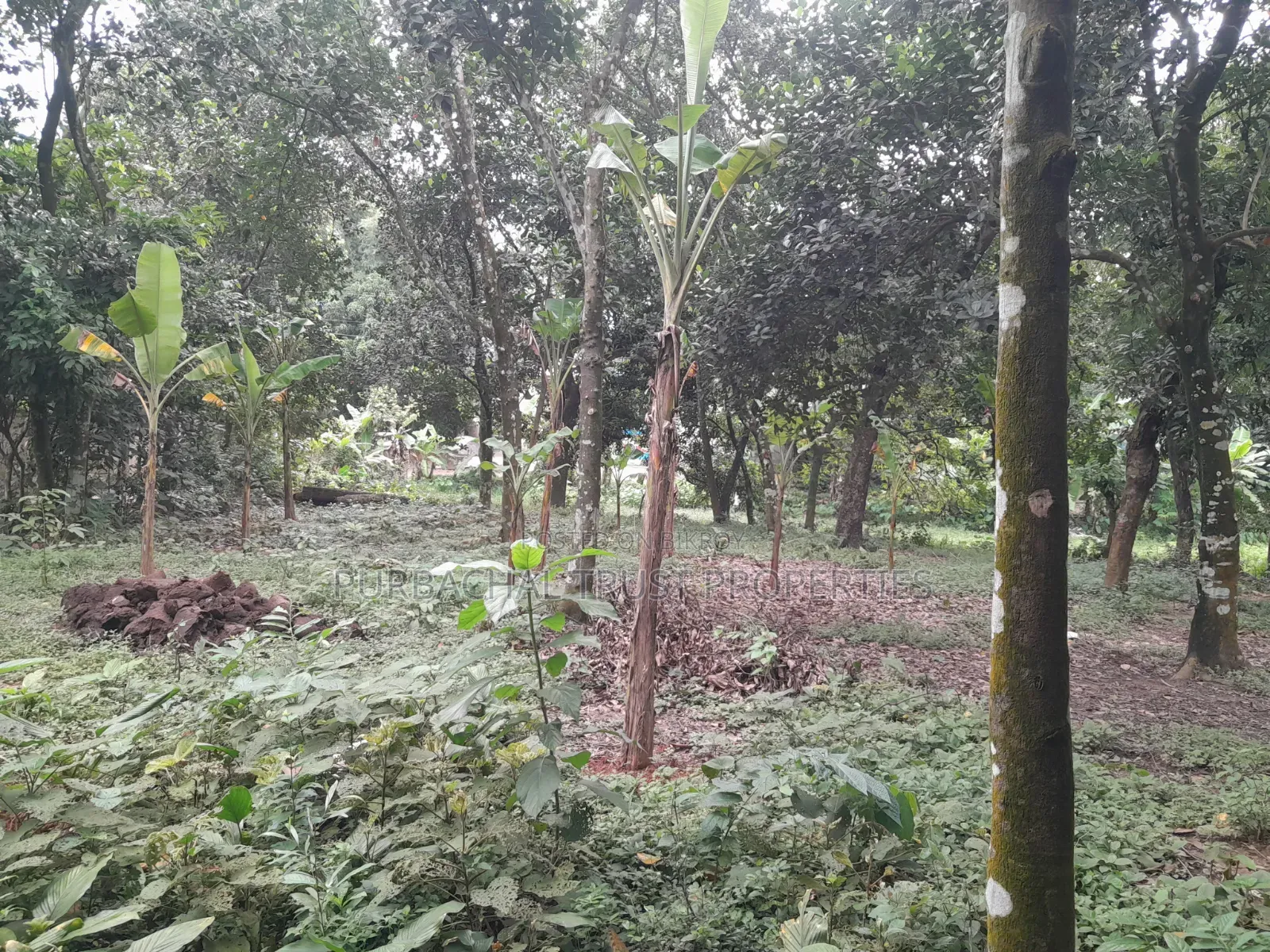 10 Kathas Land for Sale Beside Purbachal in Purbachal