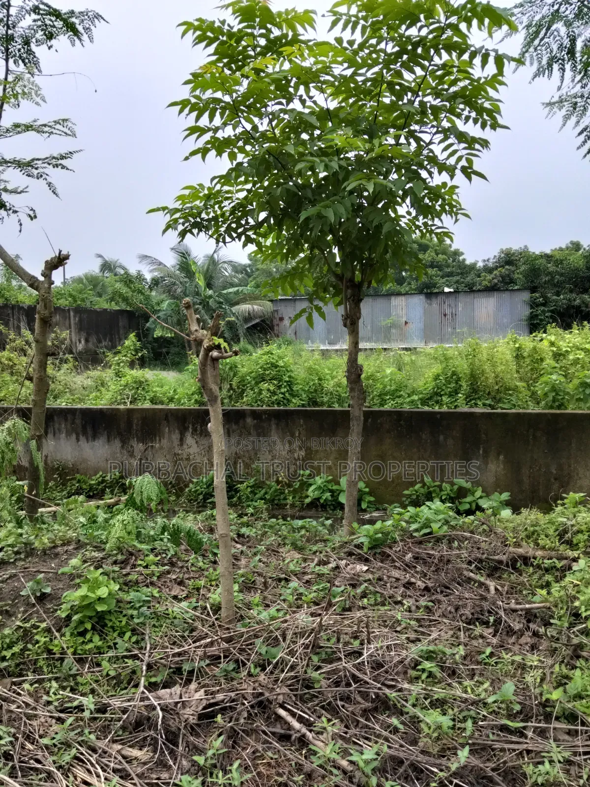 5 katha plot for sale in Purbachal Sector 25 in Purbachal