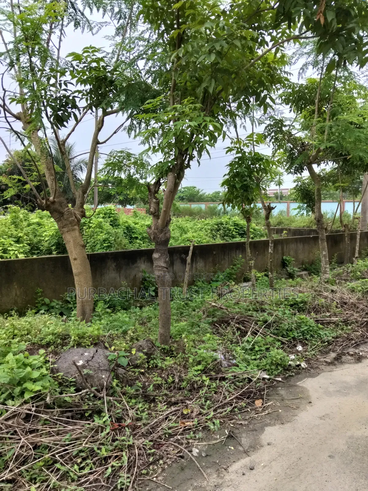 South-Facing 5 Katha Plot for Sale in Sector 8, Purbachal in Purbachal