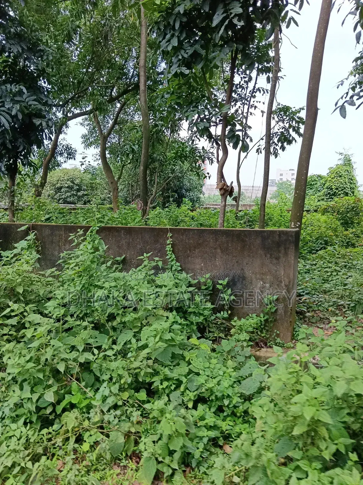 Bashundhara Block-M, 10 Katha South Facing Plot Sale in Basundhara