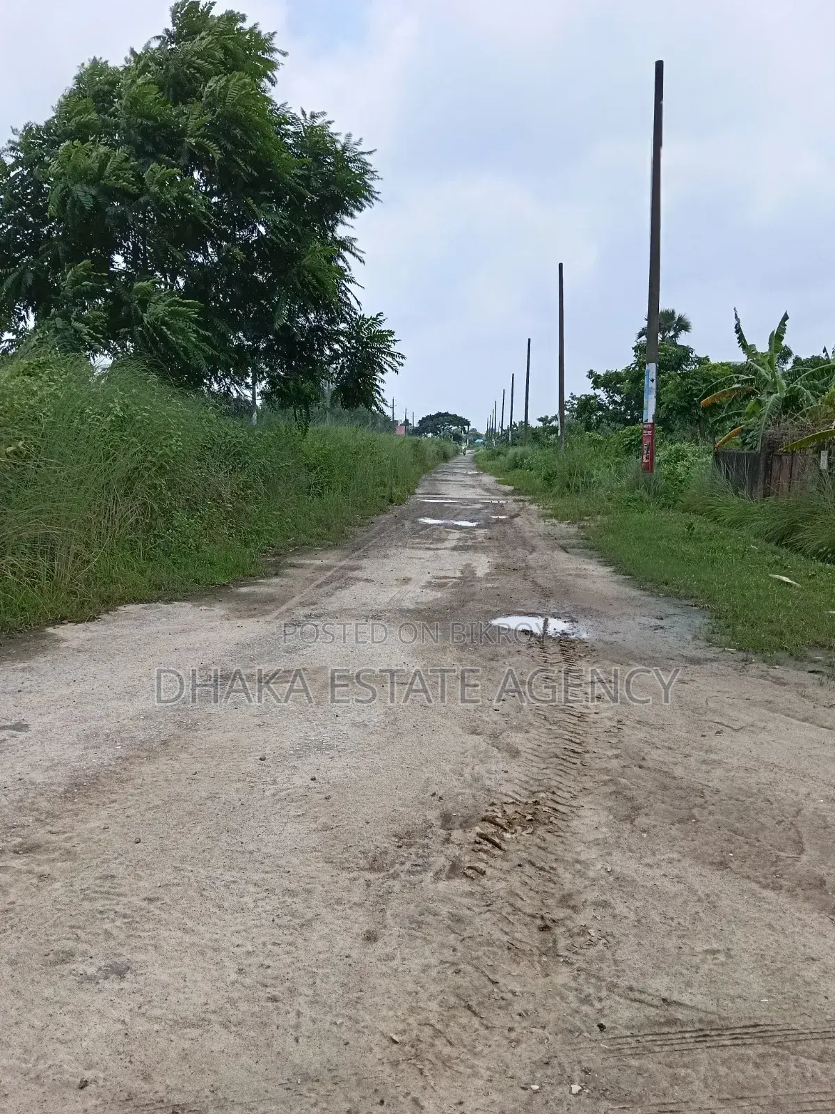 Bashundhara Block-M, 10 Katha South Facing Plot Sale in Basundhara