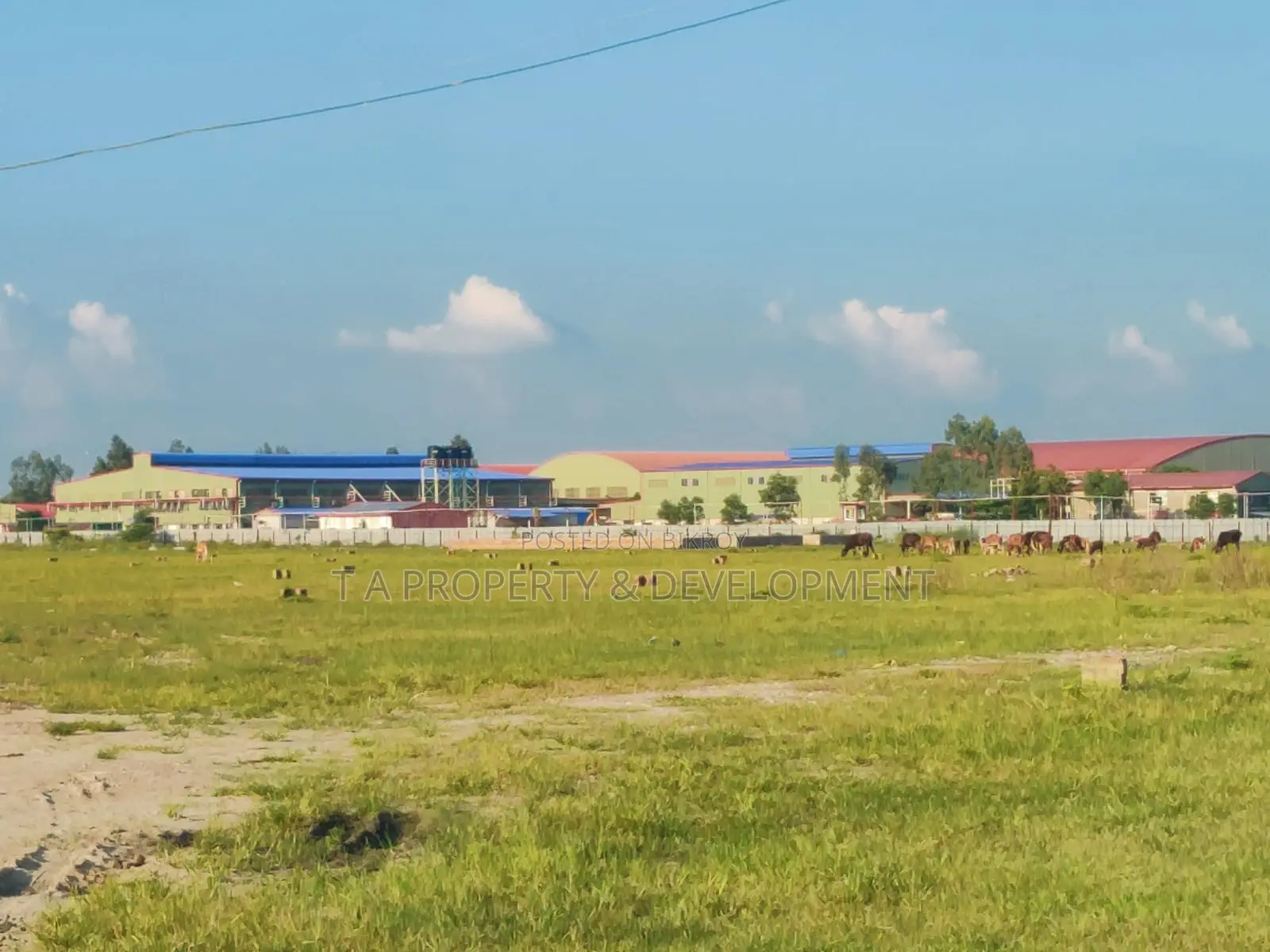 12 Katha Corner Plot in N-Extension for Sale in Basundhara