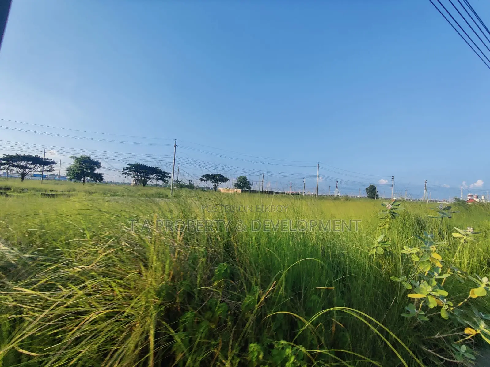 5 Katha North Facing Plot Sell , P Block in Basundhara