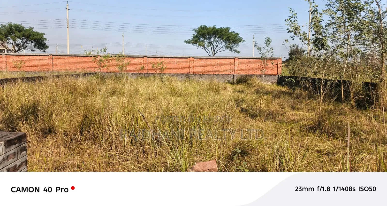 P Block 4 Katha Plot for Sale in Basundhara