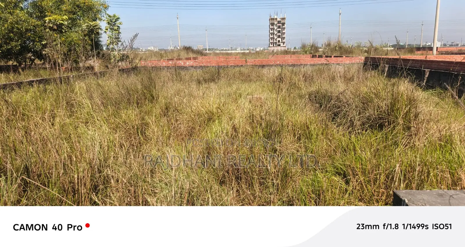 P Block 4 Katha Plot for Sale in Basundhara
