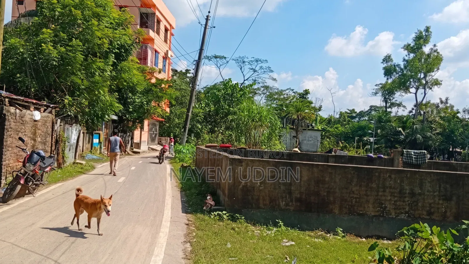 Land for Sale in Rupatali