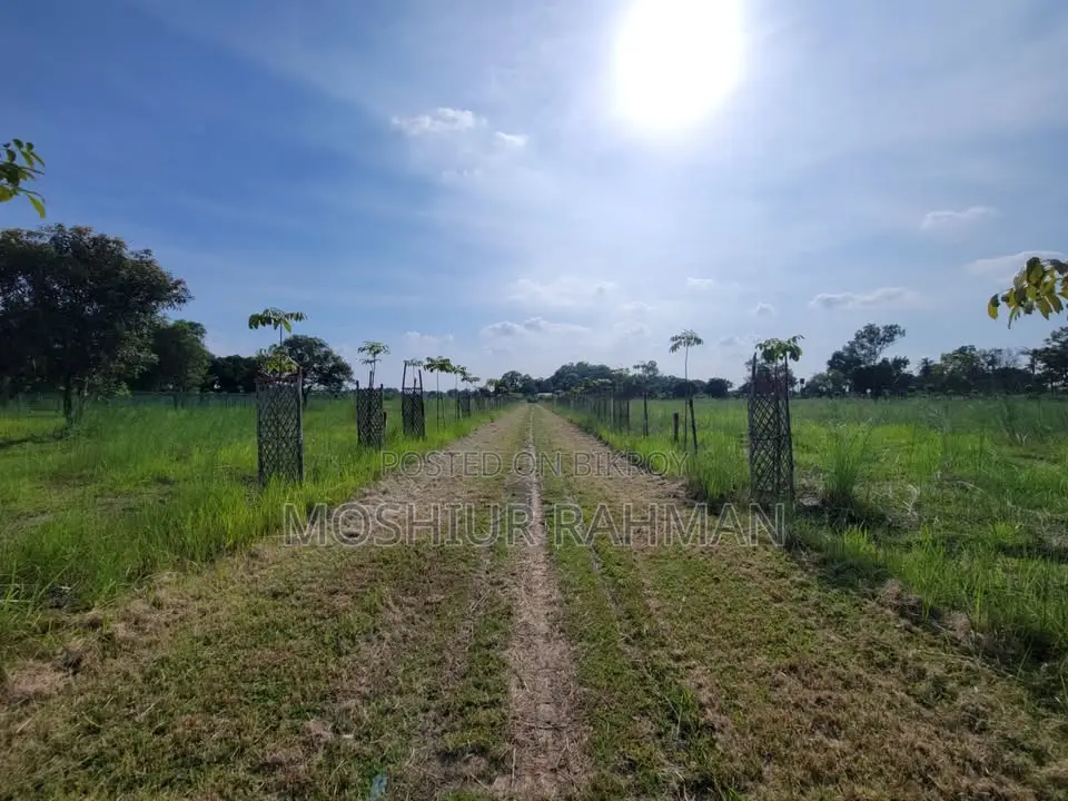 Land/Plot for Sale in Kaliganj