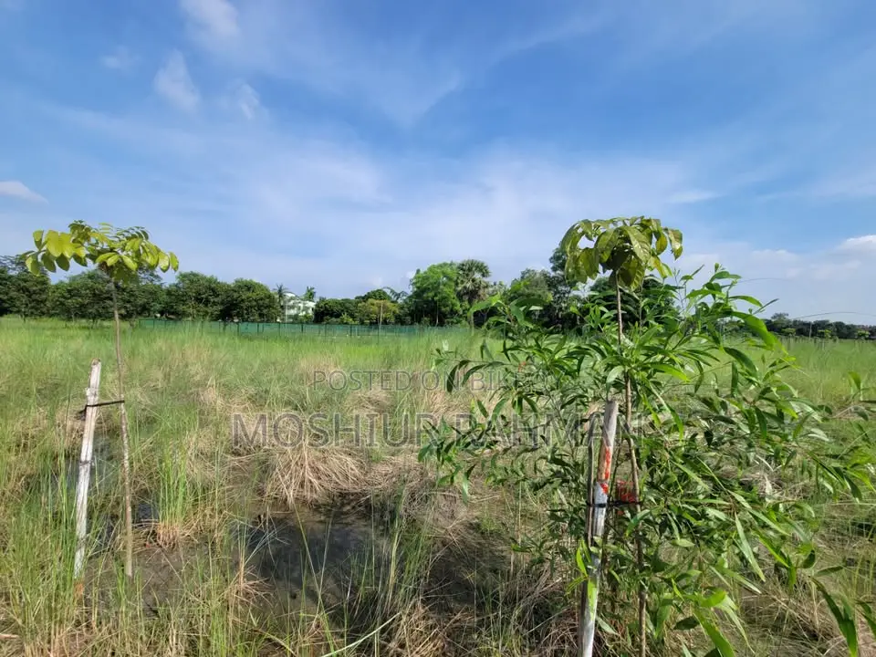 Land/Plot for Sale in Kaliganj