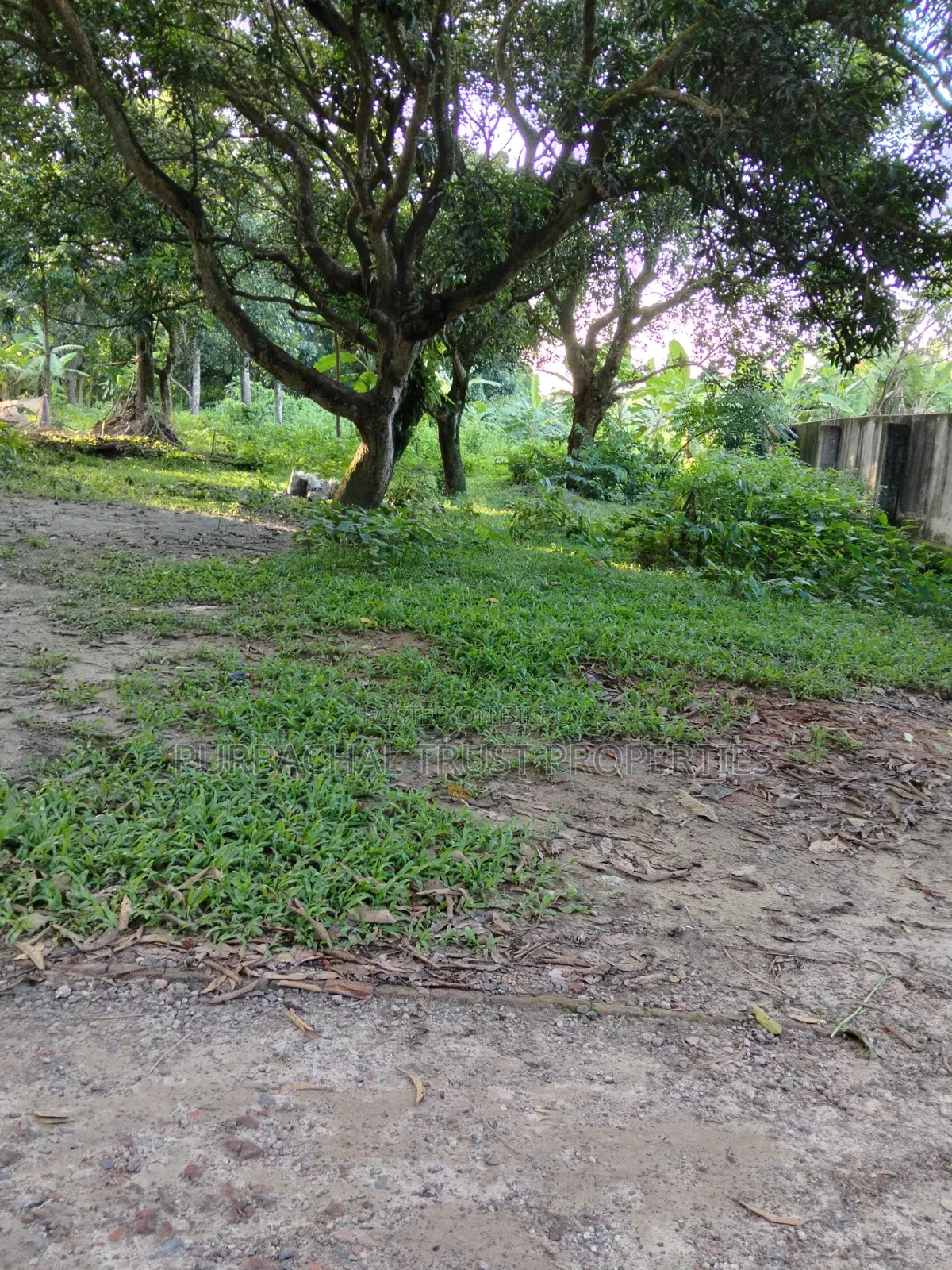 4 Katha Land for Sale in Purbachal