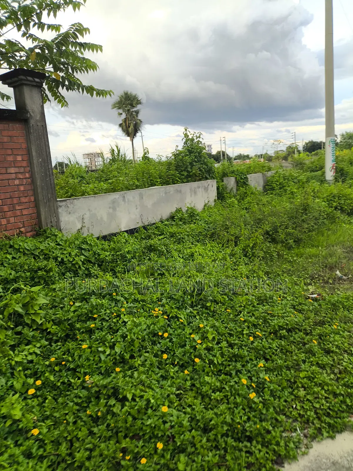Near 100 Ft Road 5 Katha Plot Sale in Sector: 23, Purbachal in Purbachal
