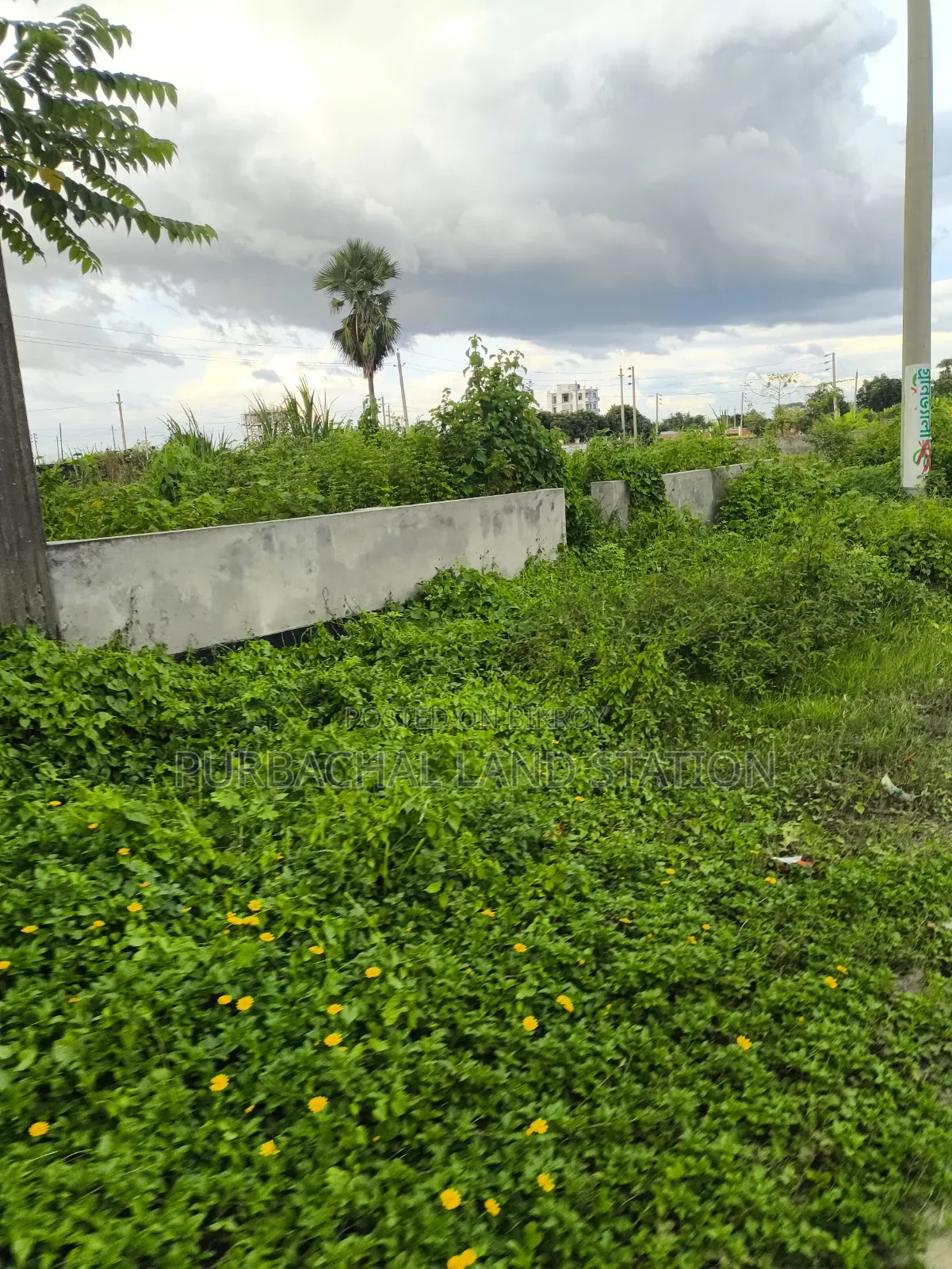 Near 100 Ft Road 5 Katha Plot Sale in Sector: 23, Purbachal in Purbachal