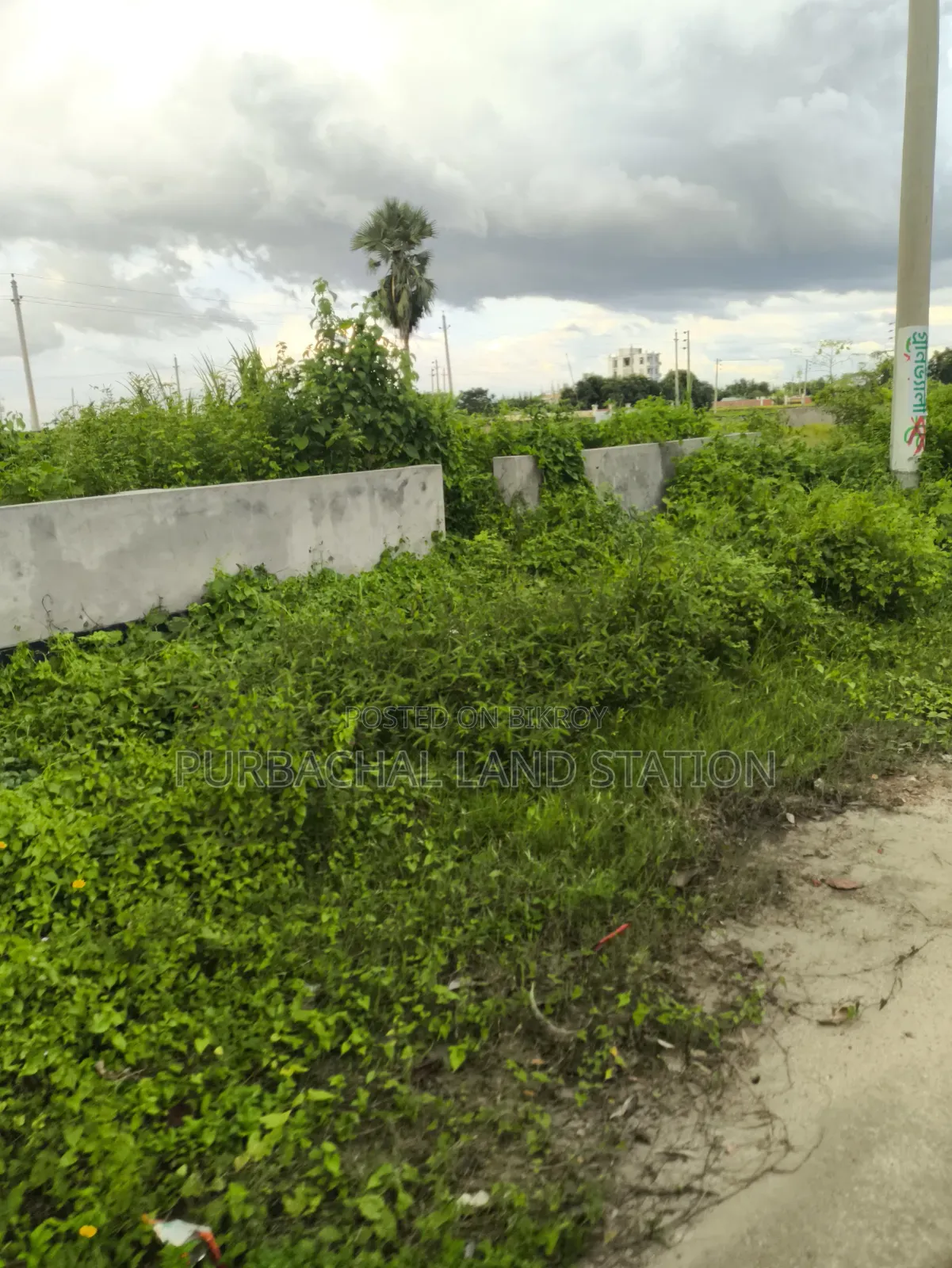 Near 100 Ft Road 5 Katha Plot Sale in Sector: 23, Purbachal in Purbachal