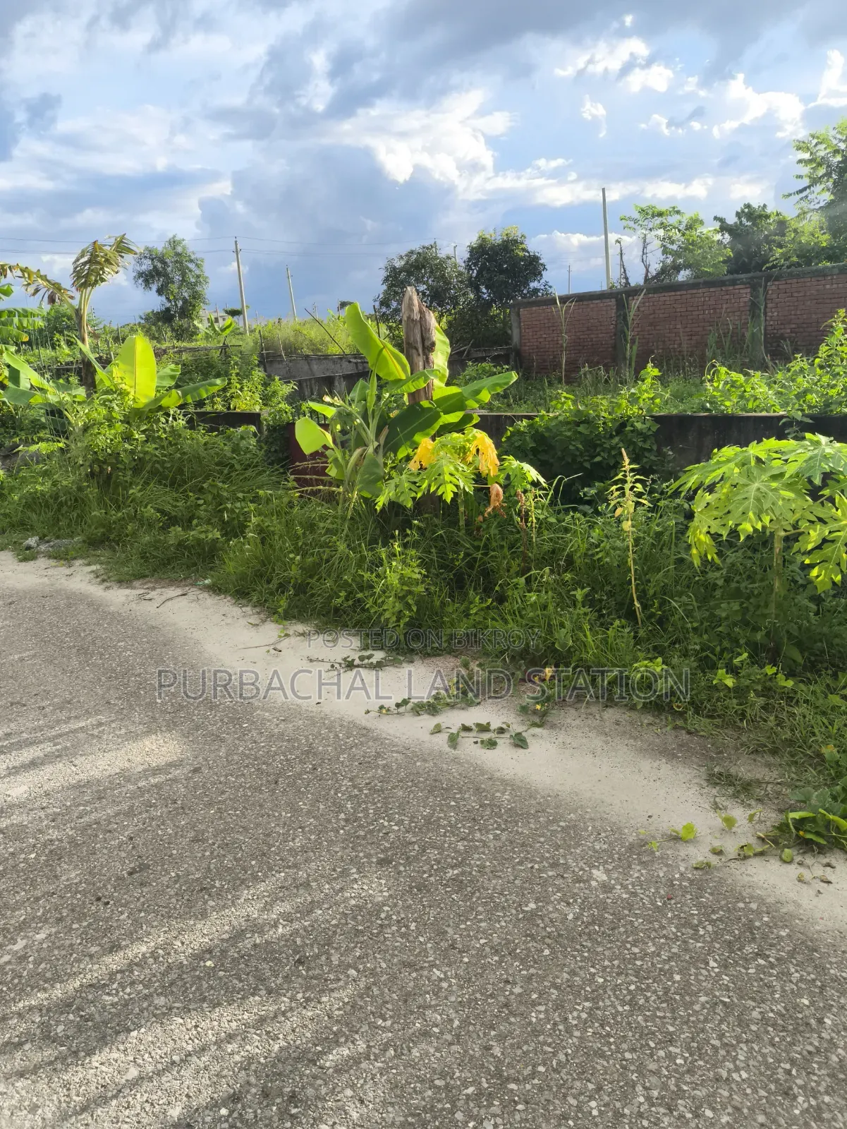 Sector: 25, Near 100ft Road 3 Katha Plot Sale in Purbachal Sector in Purbachal