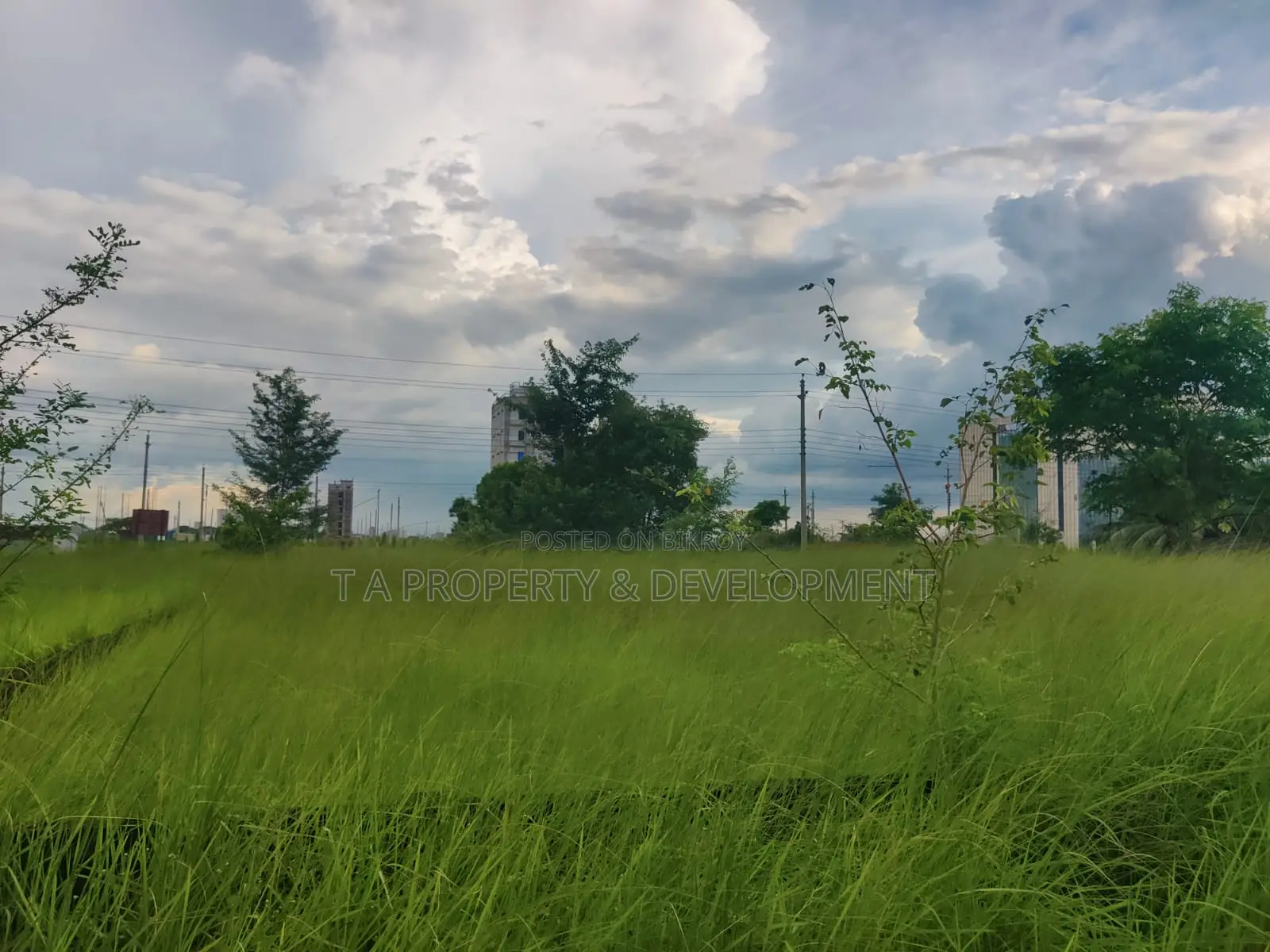 10 Katha South East South West Corner Plot Sell in Basundhara