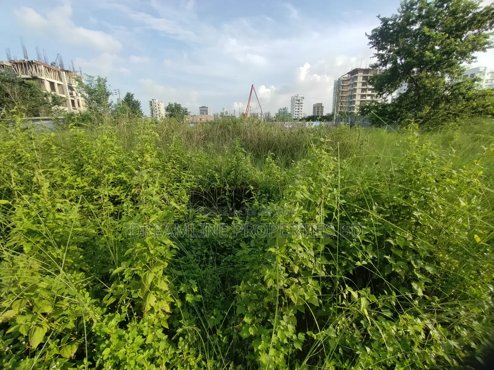 Urgent Sale: 5 Katha Plot in M Block, Bashundhara Residential Area, Dhaka. in Basundhara