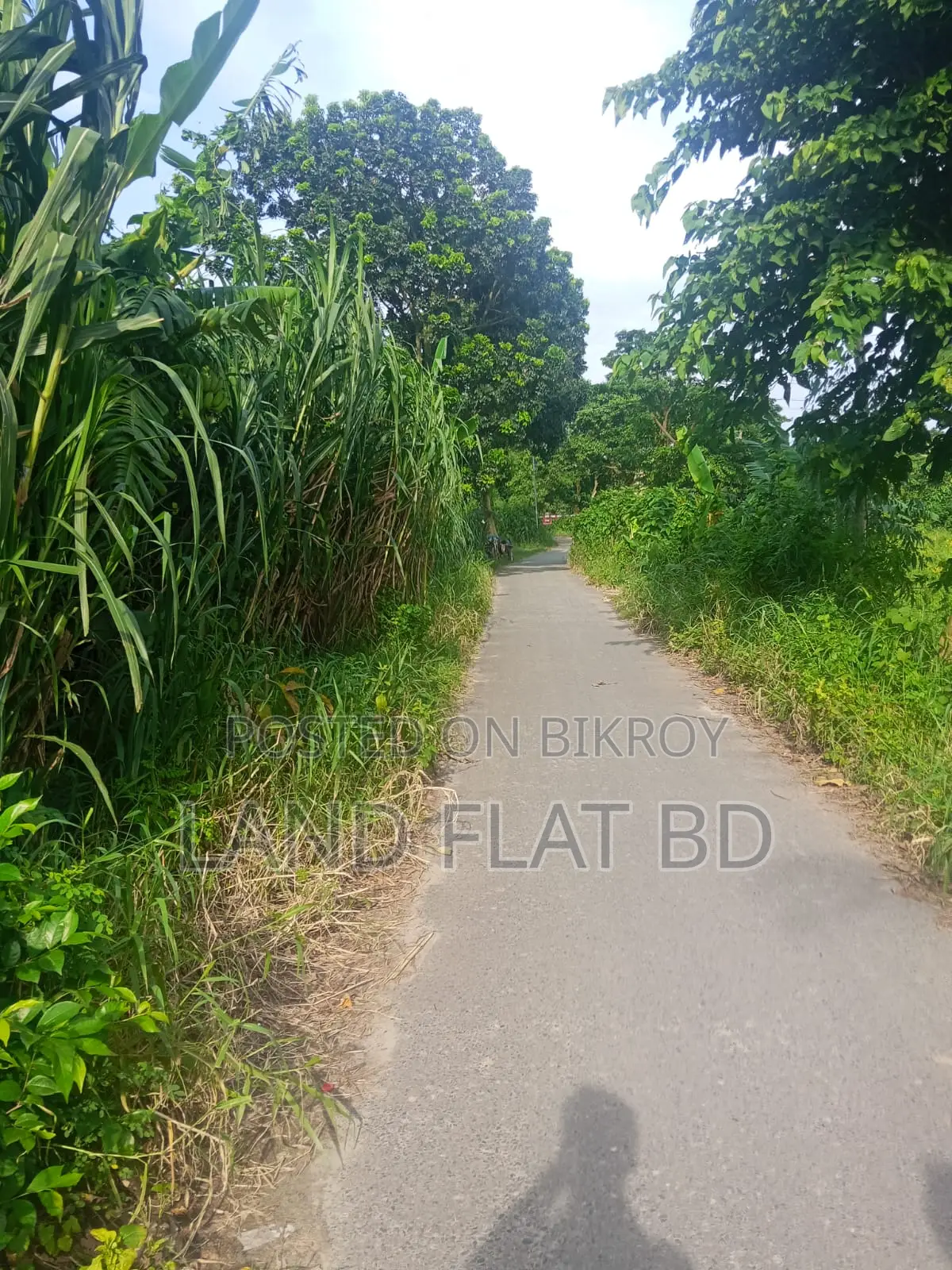 20 decimals ready plot suitable for building a house for sale on the main road in Keraniganj