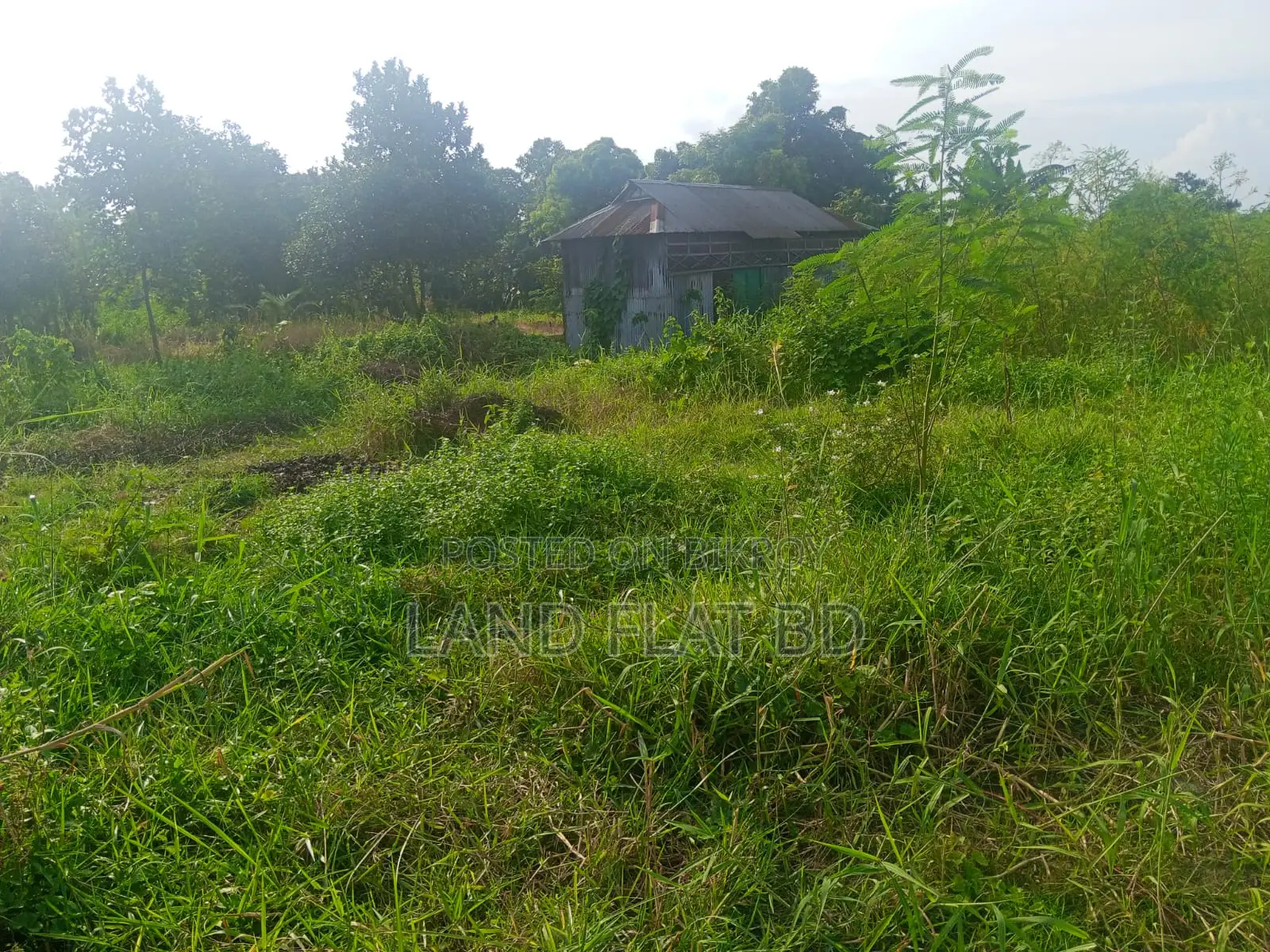 20 decimals ready plot suitable for building a house for sale on the main road in Keraniganj