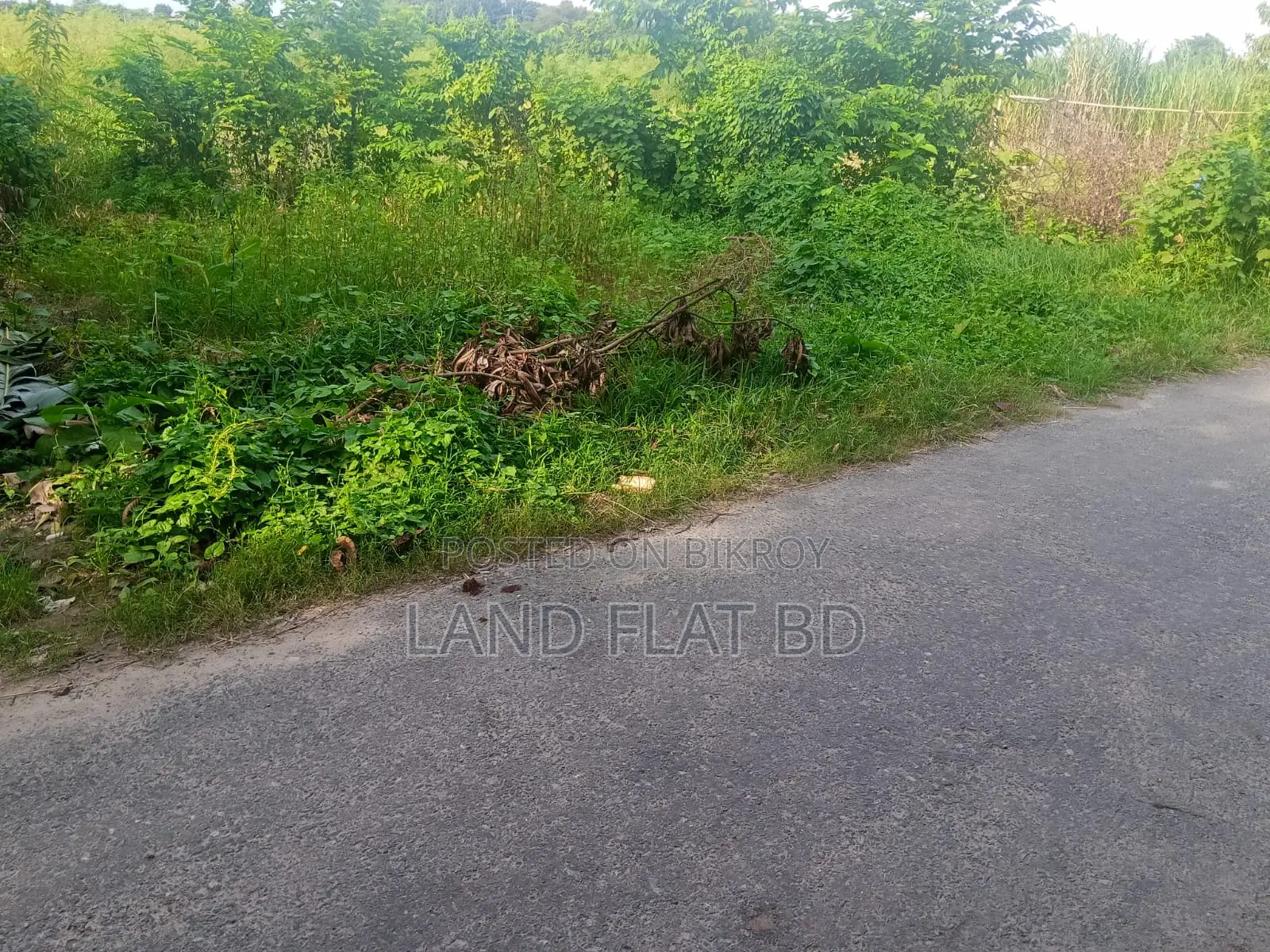 20 decimals ready plot suitable for building a house for sale on the main road in Keraniganj