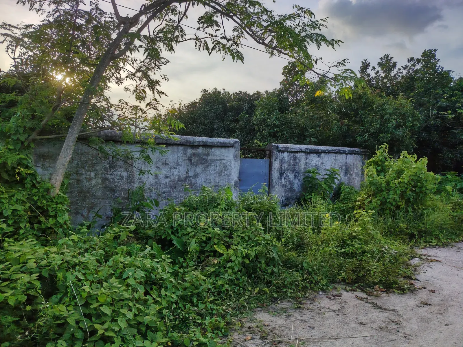 3 Katha Plot Facing South on a Low Budget Near Iconic Tower in Sector 23 in Purbachal
