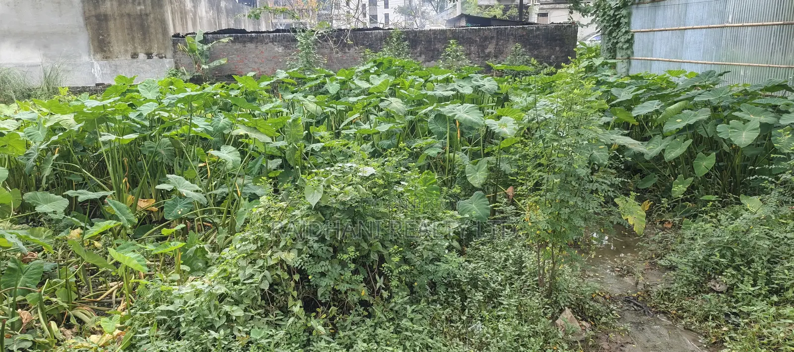 N-Ex Block, 10 Katha Plot for Sale Bashundhara, Baridhara. in Basundhara