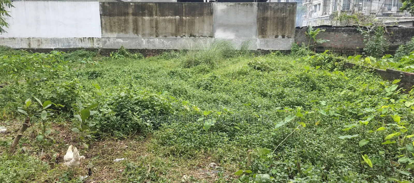 N-Ex Block, 10 Katha Plot for Sale Bashundhara, Baridhara. in Basundhara
