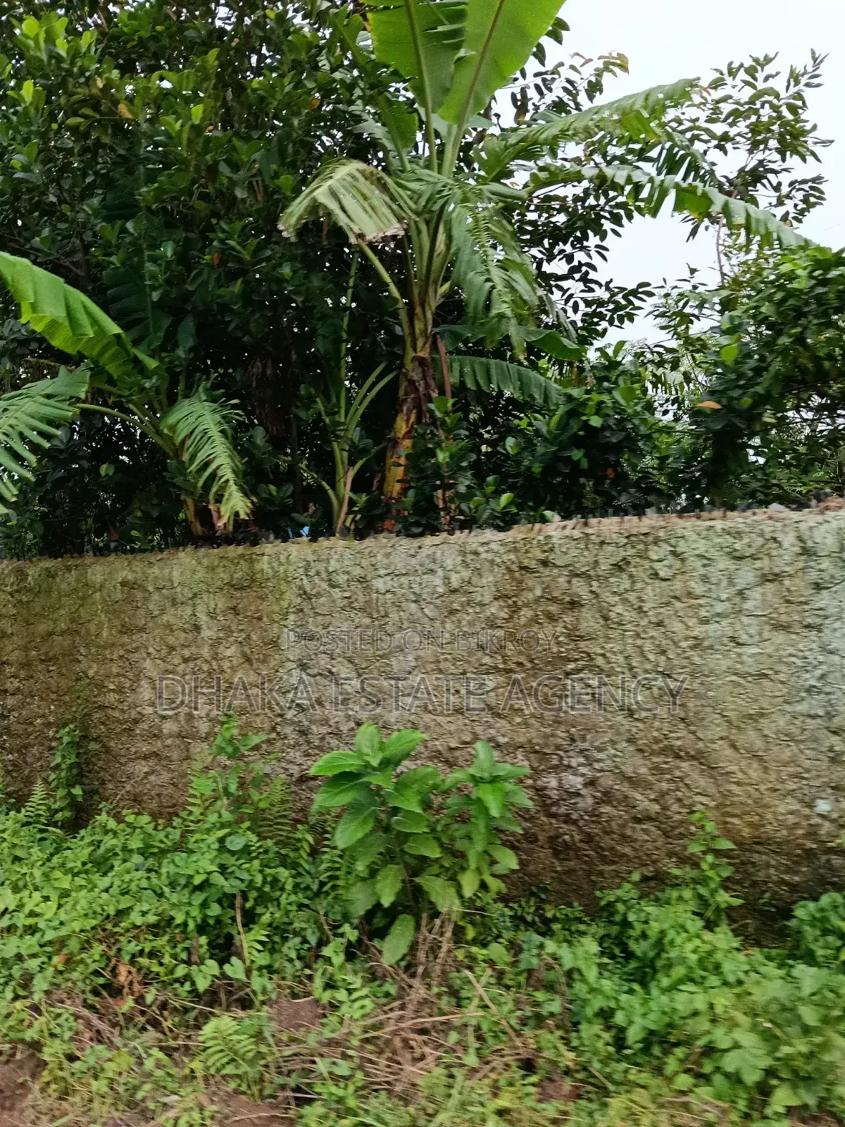 Block-P, South Facing 60 Feet Road in Basundhara