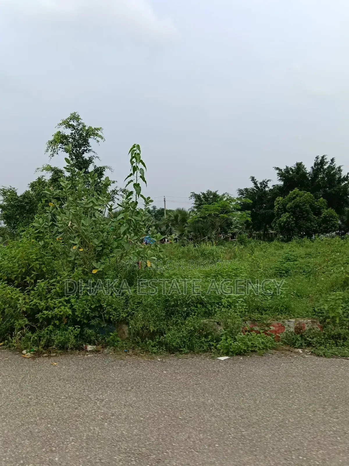 Block-P, 3+3=6 Katha 40/25 Corner in Basundhara