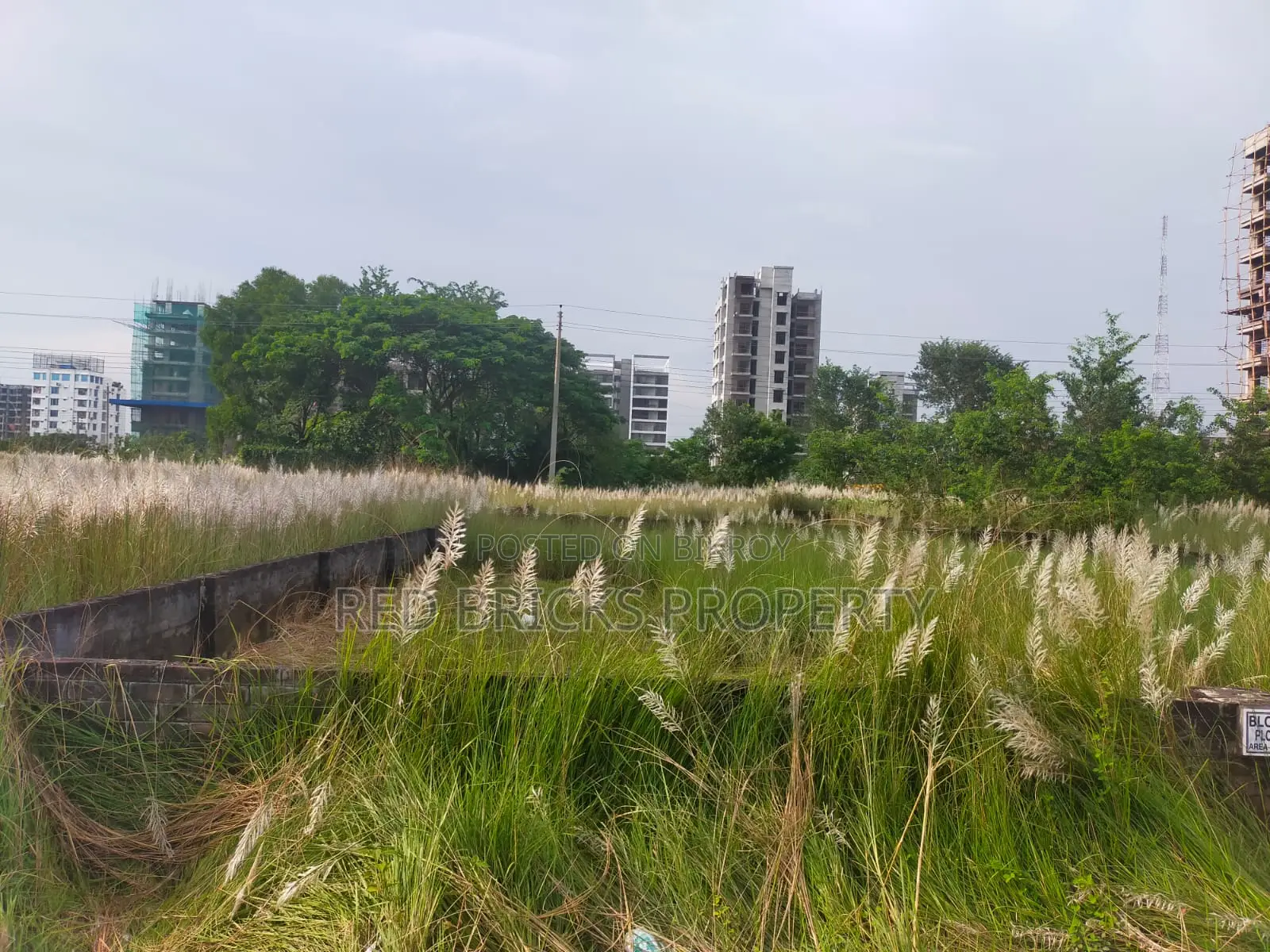 M-Block 3 Katha Prime Location Near 300ft Road in Basundhara