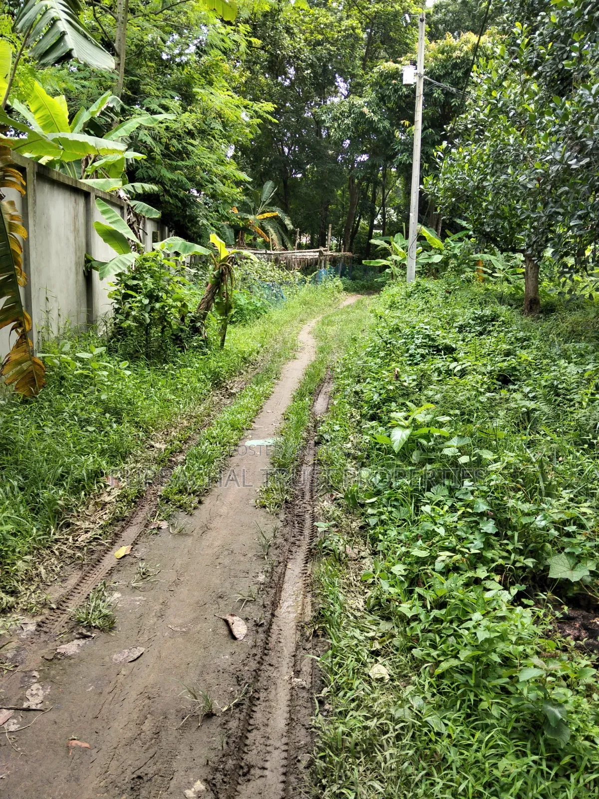 6 Katha Land for Sale Beside Purbachal in Purbachal