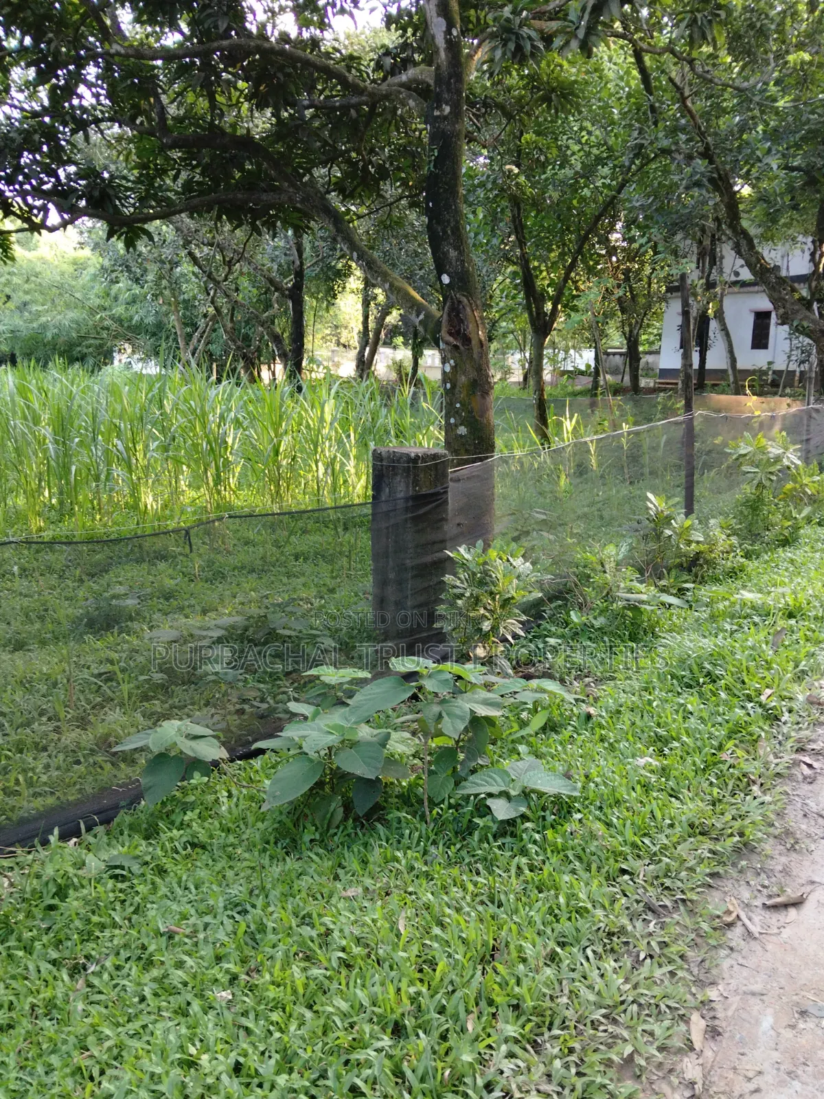 6 Katha Land for Sale Beside Purbachal in Purbachal