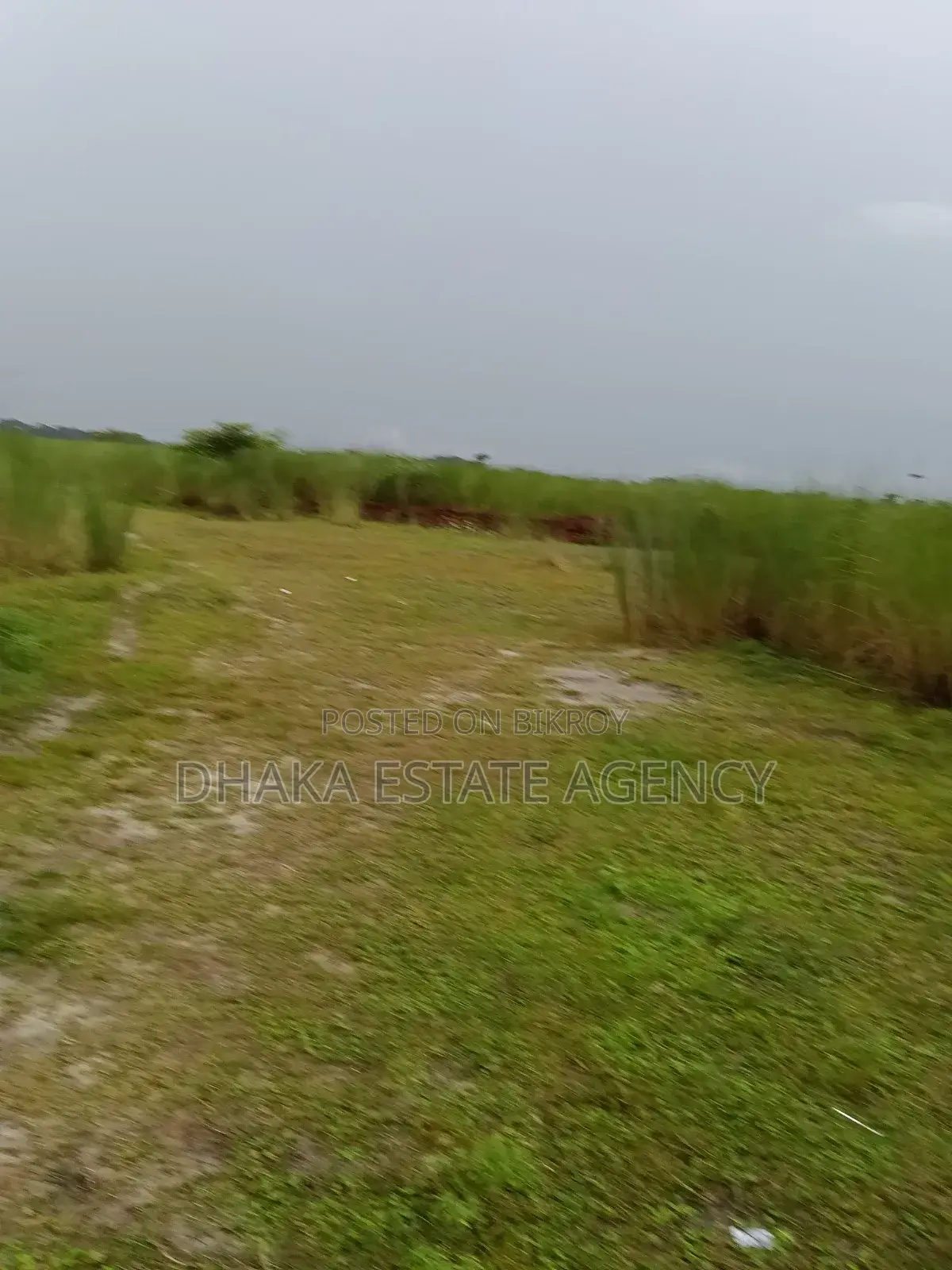 Army Jolshiri Main Road 10 Bigha Land Sale in Purbachal