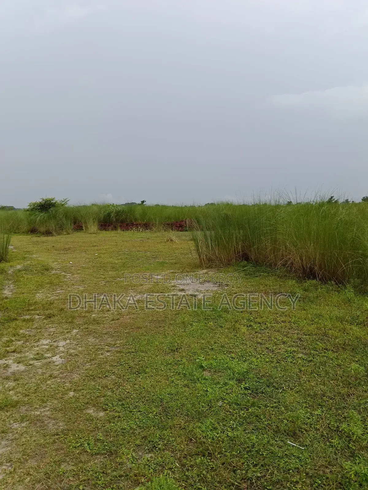 Army Jolshiri Main Road 10 Bigha Land Sale in Purbachal