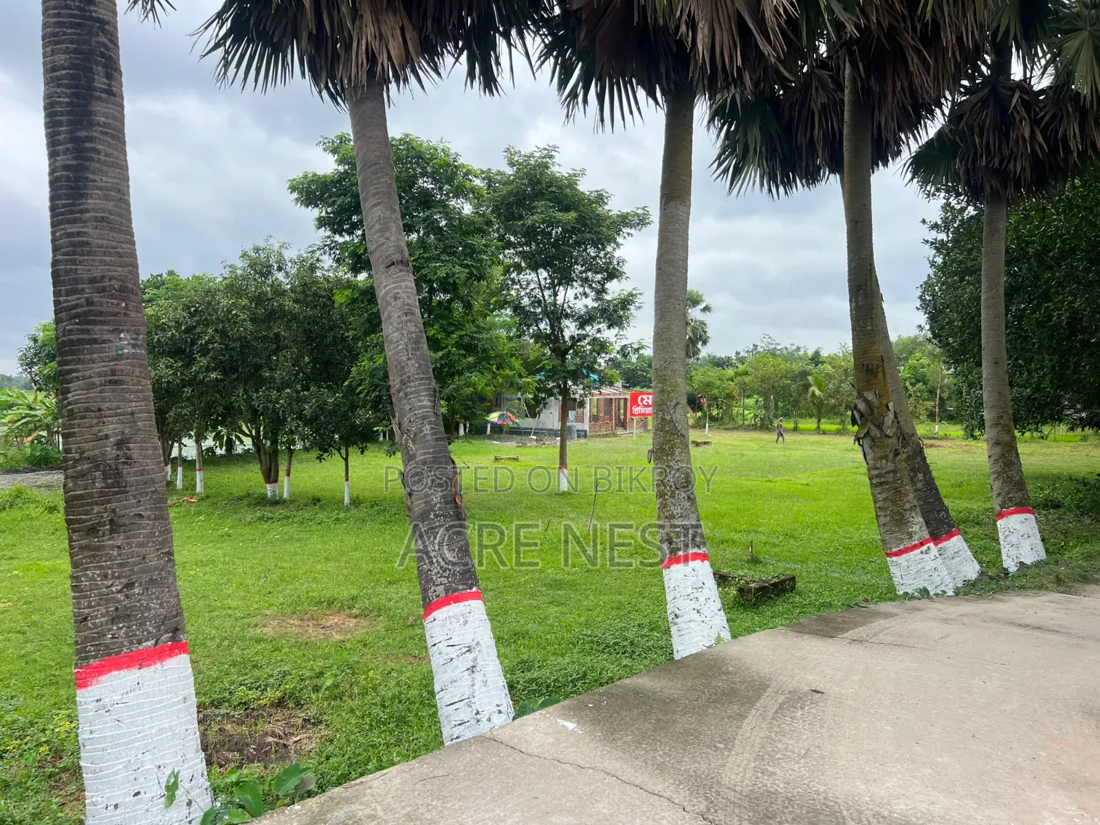 Land for Sale Near Purbachal 27 No. Sector in Kaliganj
