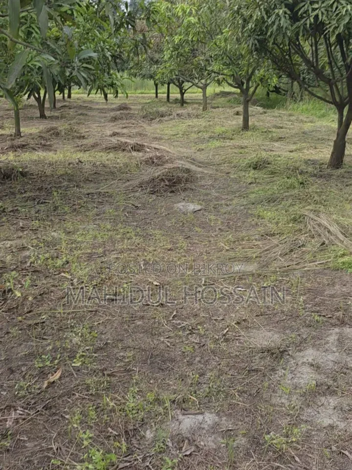 Land Share at Affordable Price in Ashulia VIP Block — Limited Opportunity! in Uttara