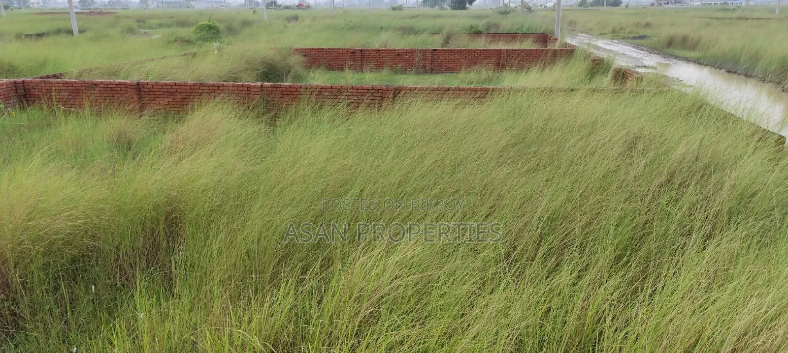 Basundhara P Block 5 Katha Land for Sale in Basundhara