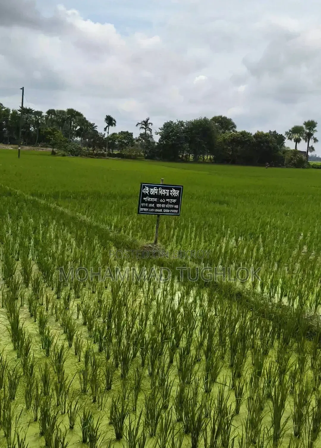 61 Decimal Land for Sale Beside the Road in Kalai