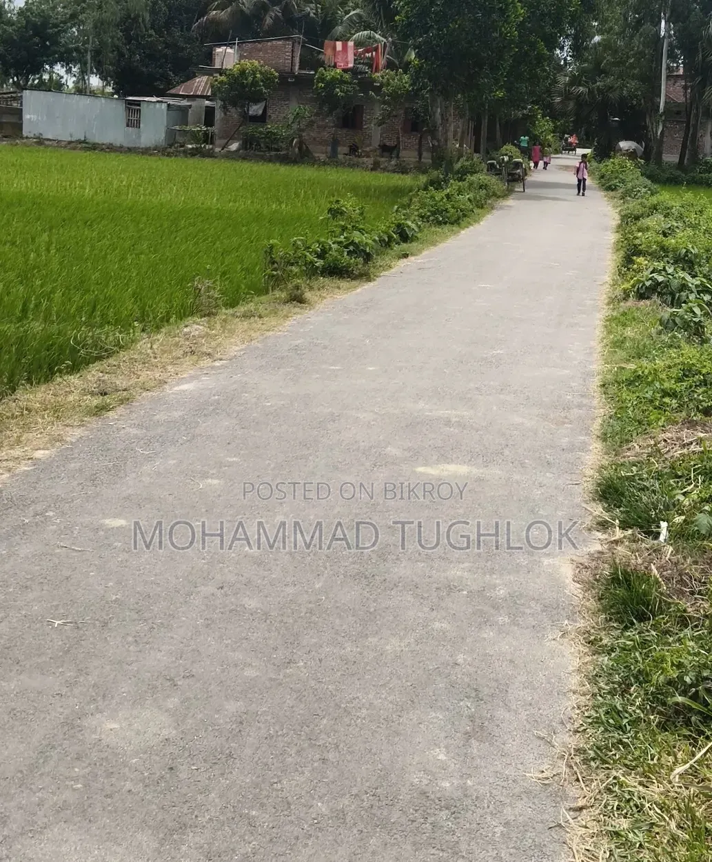 61 Decimal Land for Sale Beside the Road in Kalai