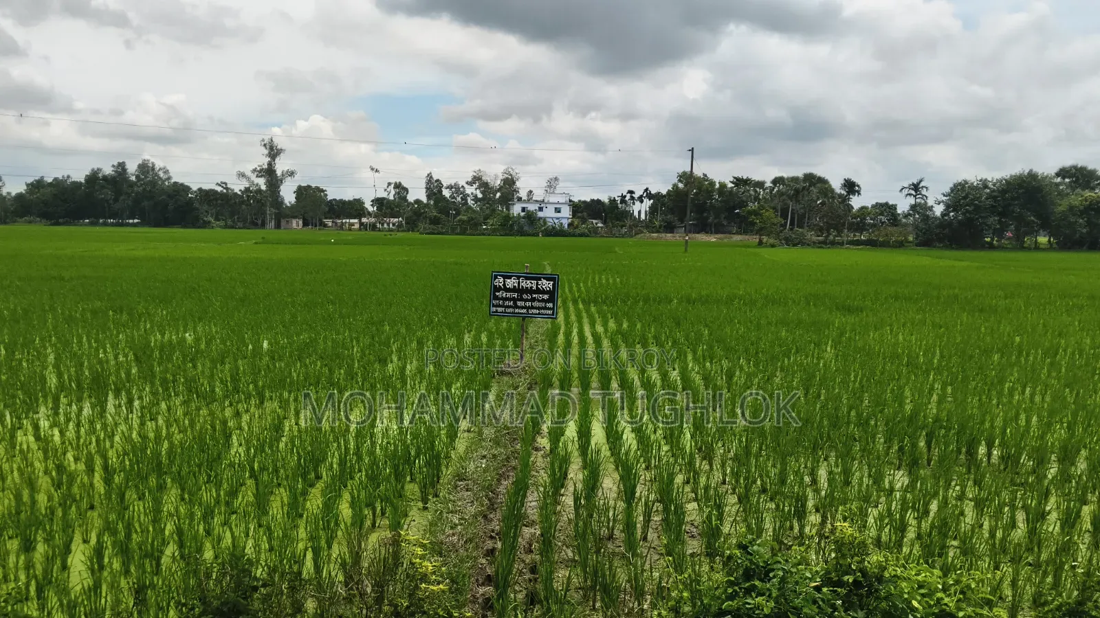 61 Decimal Land for Sale Beside the Road in Kalai