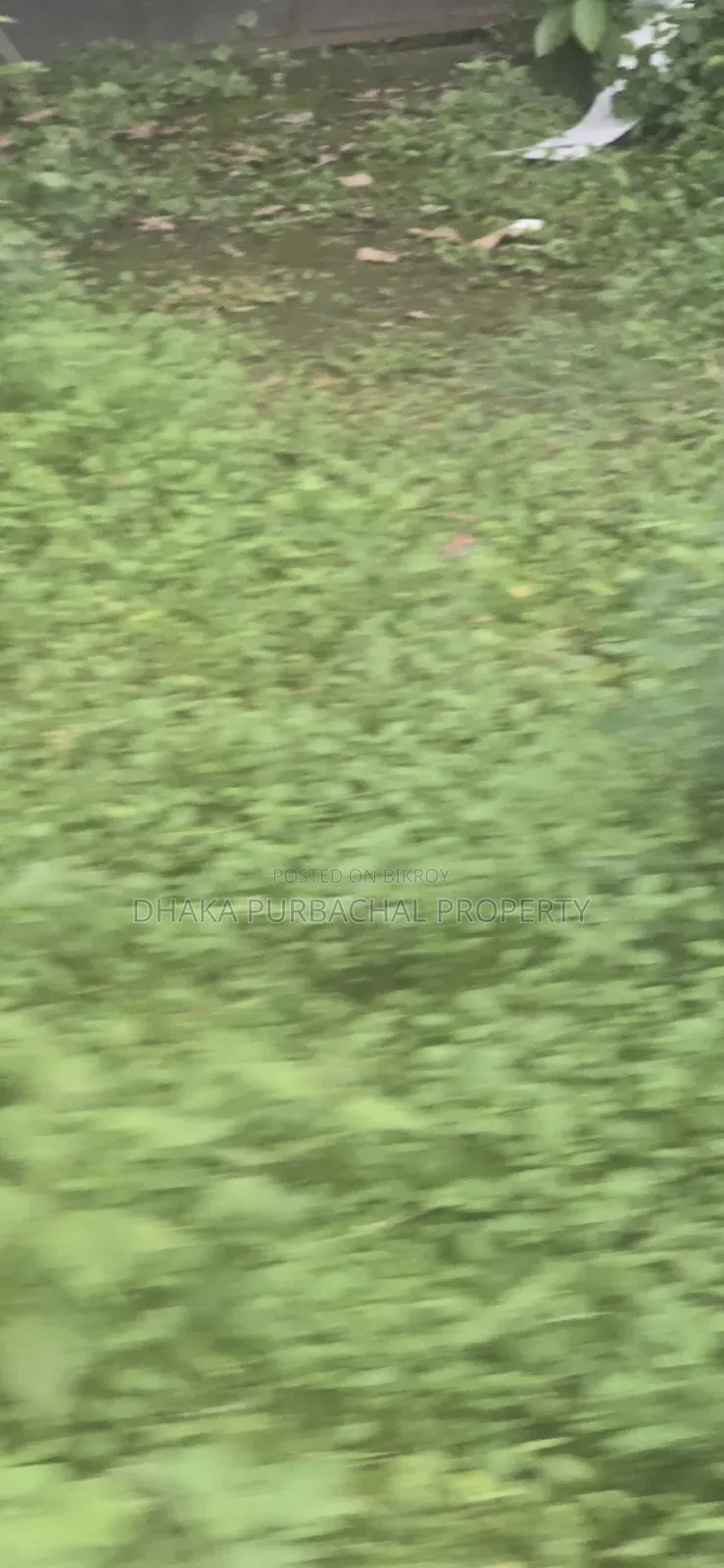 Expatriate Category 5 Katha Plot for Sale Next to Rajuk Sector 24 Forest in Purbachal